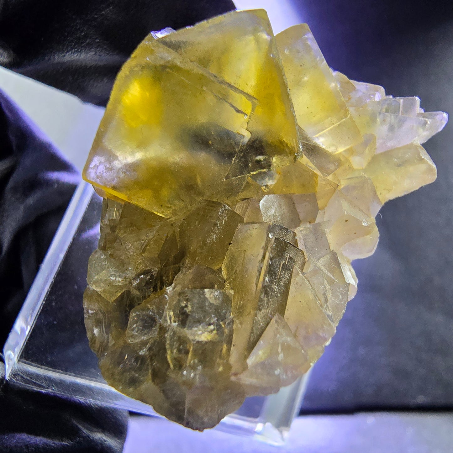 Seltene Honey Pocket Phantom Fluorit XX Würfel Stufe 31*20*19mm Okorusu, Namibia