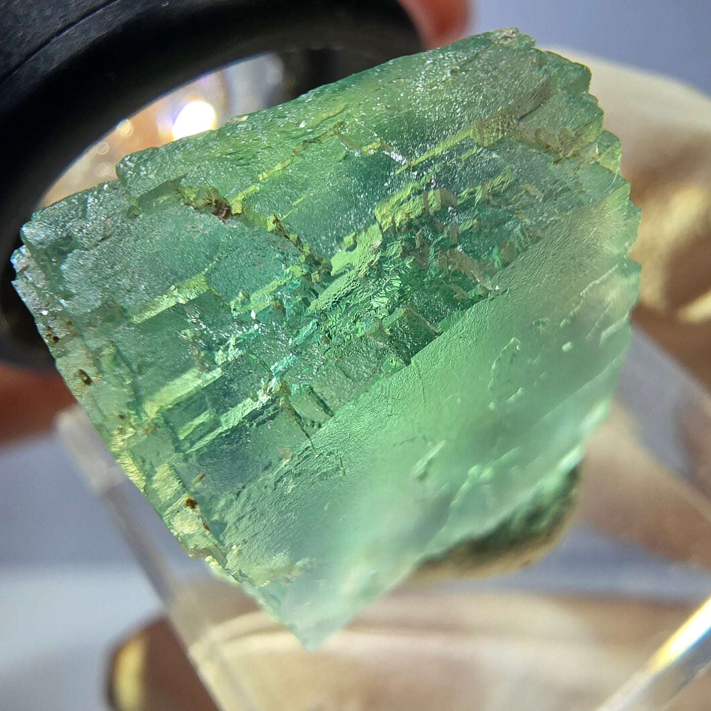 Cube de fluorite fantôme transparente parquetée, vert Okorusu, Namibie 19 x 18 x 15 mm