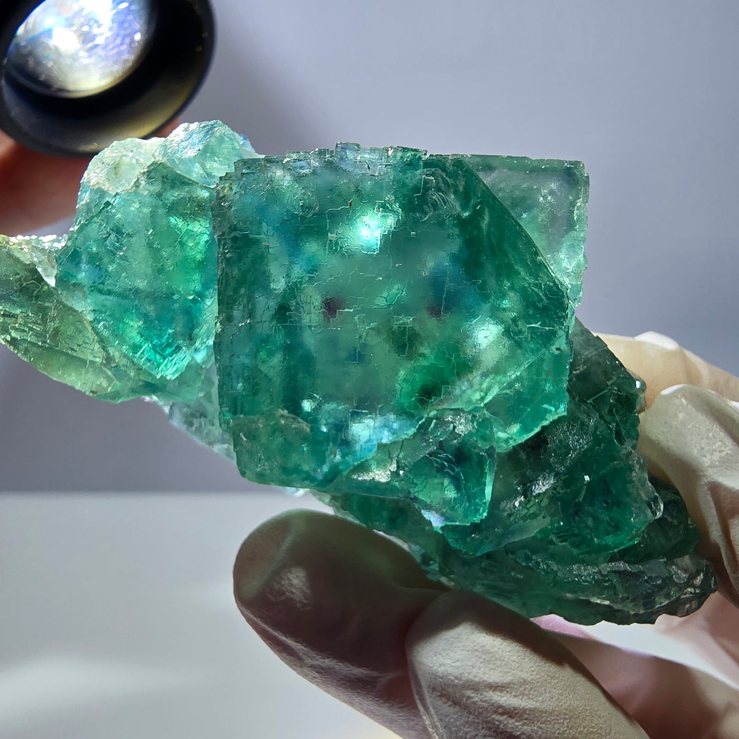 Spécimen de cube de fluorite fantôme transparente, vert parqueté, Okorusu, Namibie, 64 x 35 x 16 mm