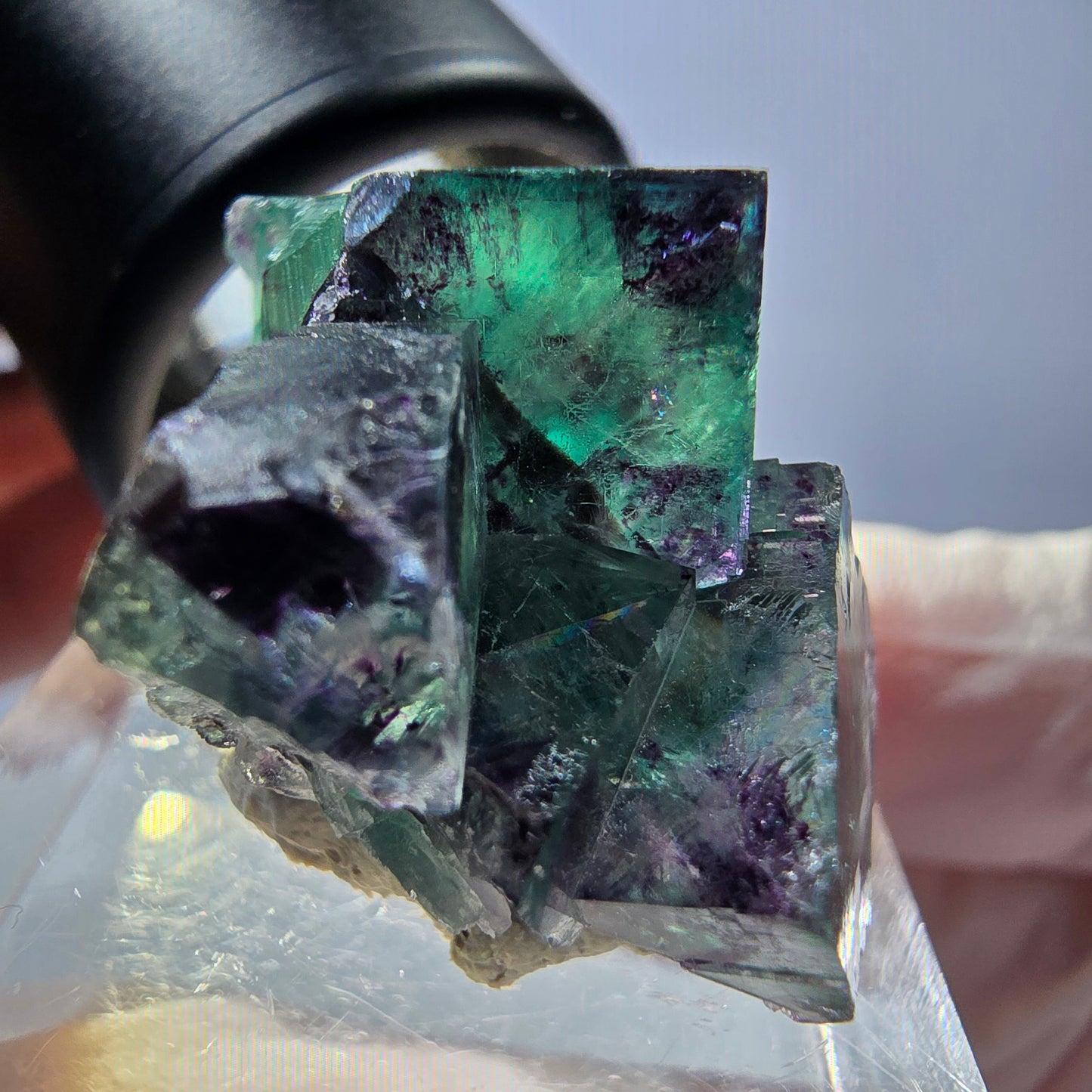 Spécimen de cube de fluorite fantôme, parqueté vert violet Okorusu, Namibie 31*25*20 mm