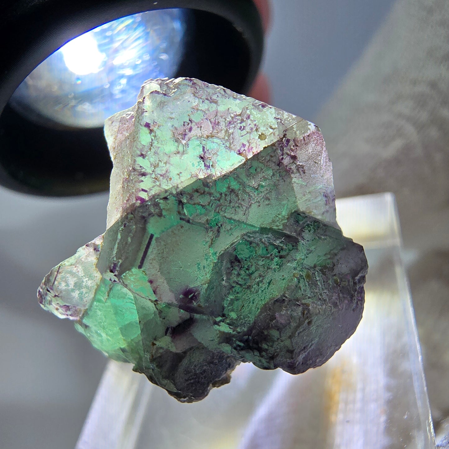 Cube de fluorite fantôme zonal, spécimen de muscovite, Erongo, Namibie, 24 x 20 x 19 mm