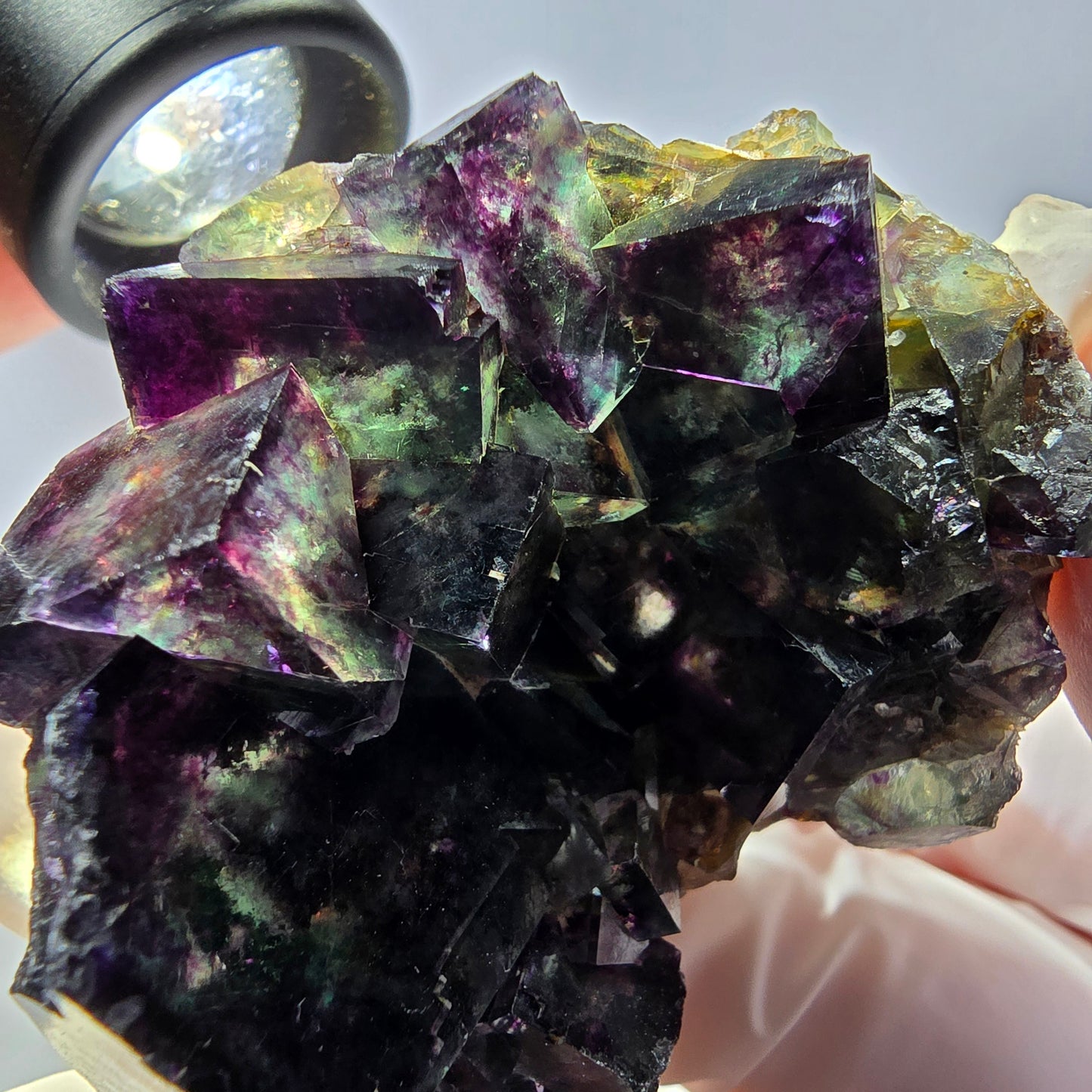 Spécimen de cube de fluorite fantôme, parqueté vert violet, Okorusu, Namibie 57*50*35 mm