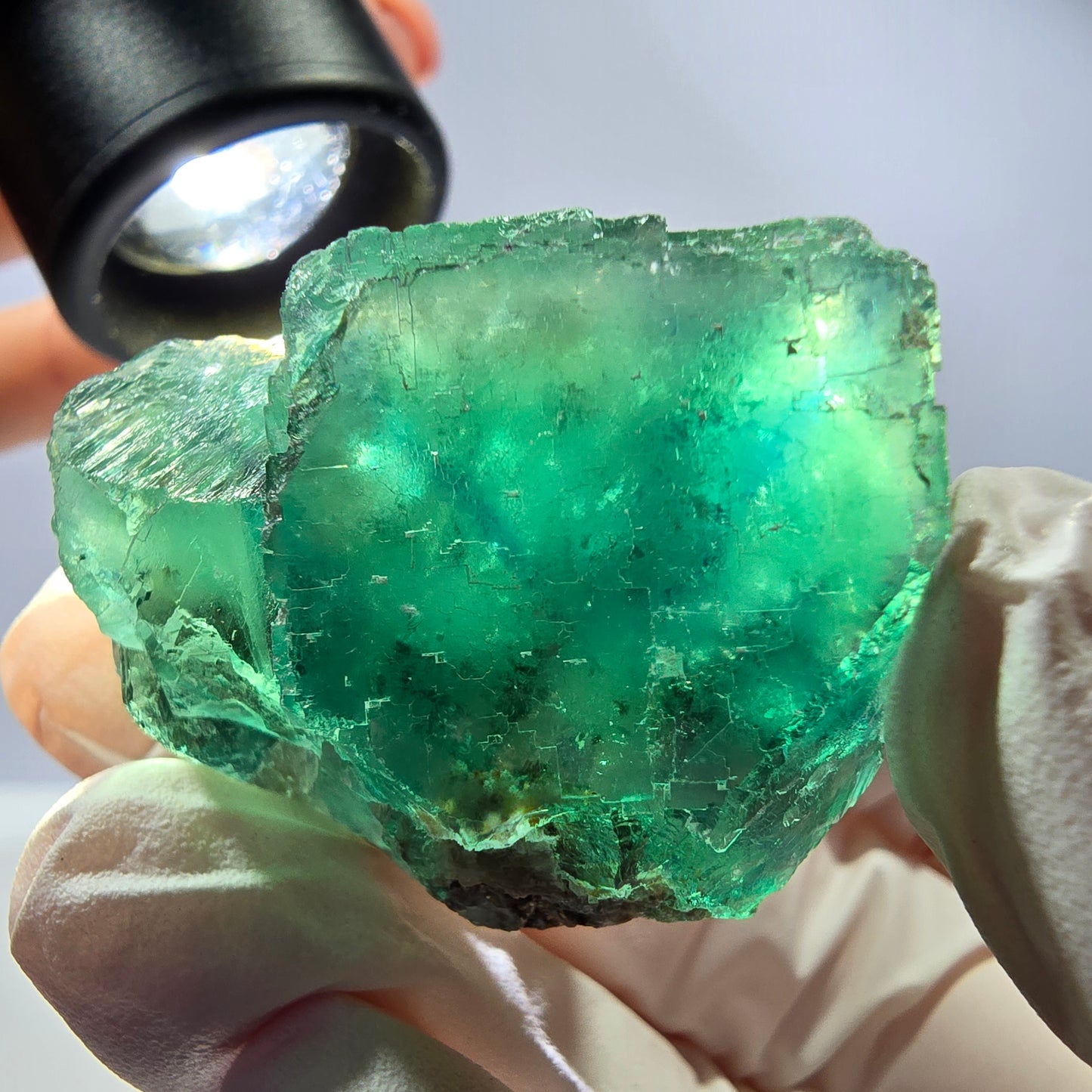 Spécimen de cube de fluorite fantôme transparente, vert parqueté, Okorusu, Namibie, 40 x 35 x 24 mm