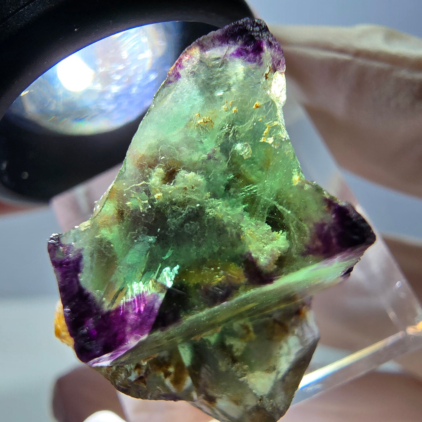 Phantom Fluorit Würfel Stufe, parkettiert, zonal Okorusu, Namibia 25*21*18mm