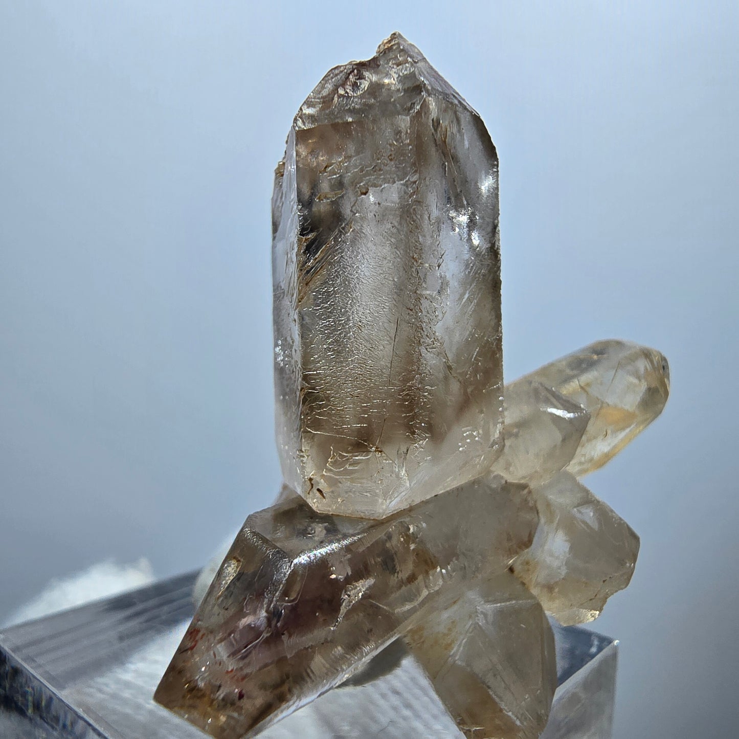 Amas de quartz fumé Harlequin Enhydro, 1x Bubble Goboboseb, Namibie 37 x 34 x 18 mm