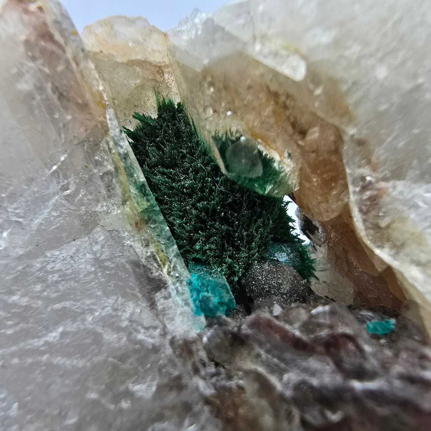 Seltene Malachit, Dioptas auf Quarz Stufe Kaokoveld, Namibia 70*50*23mm Sammlung