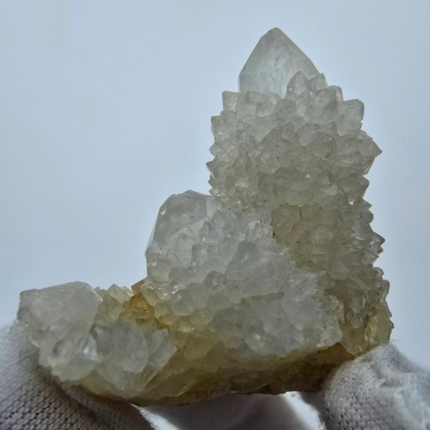 Kaktusquarz, Spirit Quarz XX Stufe Boekenhouthoek, Südafrika 51*40*47mm Sammlung