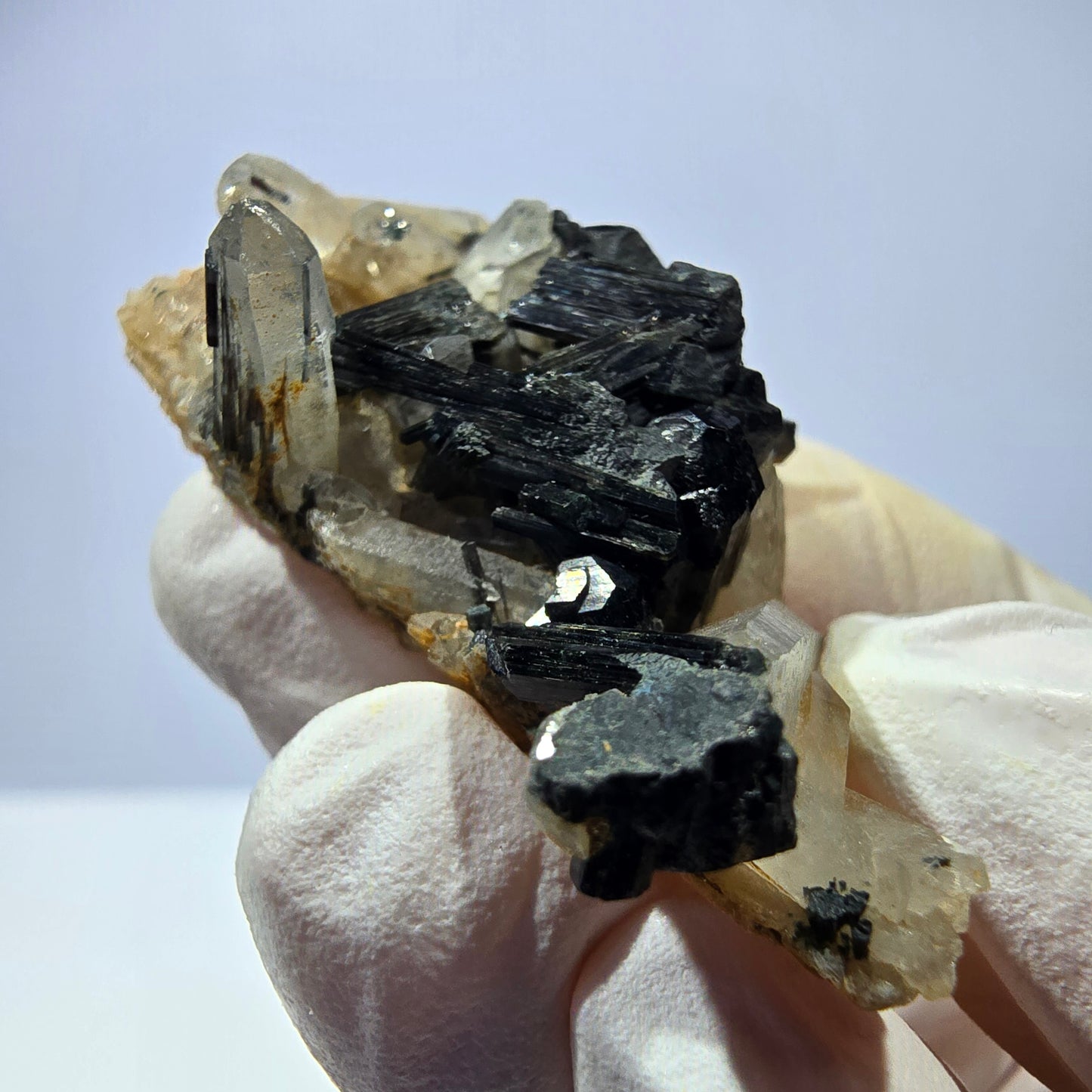 Rare spécimen de tourmaline Schorl et de quartz fumé, Erongo, Namibie, 44 x 24 x 17 mm