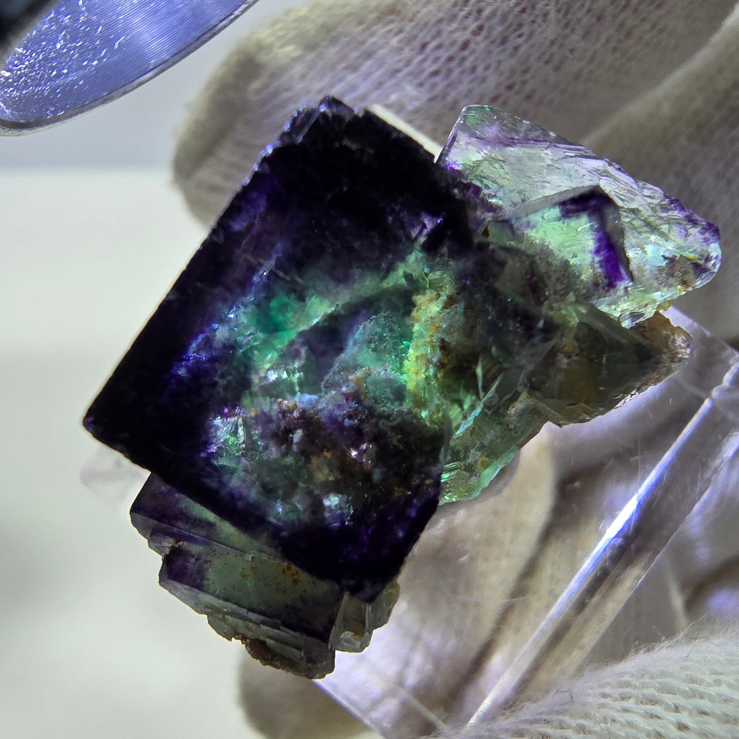 Spécimen rare de cube de fluorite fantôme, vert zonal et violet, Okorusu, Namibie, 28 x 16 x 18 mm