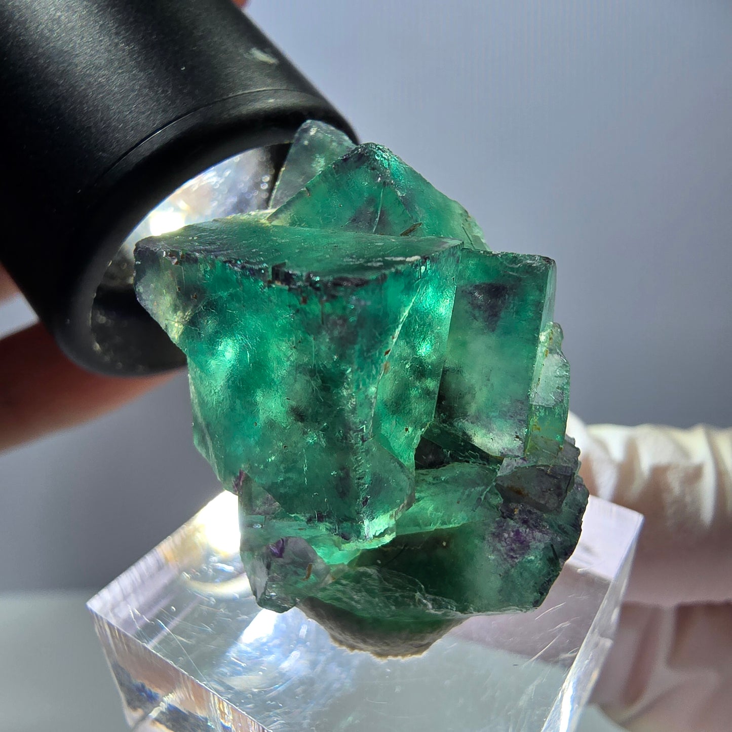 Rare spécimen de cube de fluorite, vert-violet, Okorusu, Namibie, 33 x 26 x 22 mm