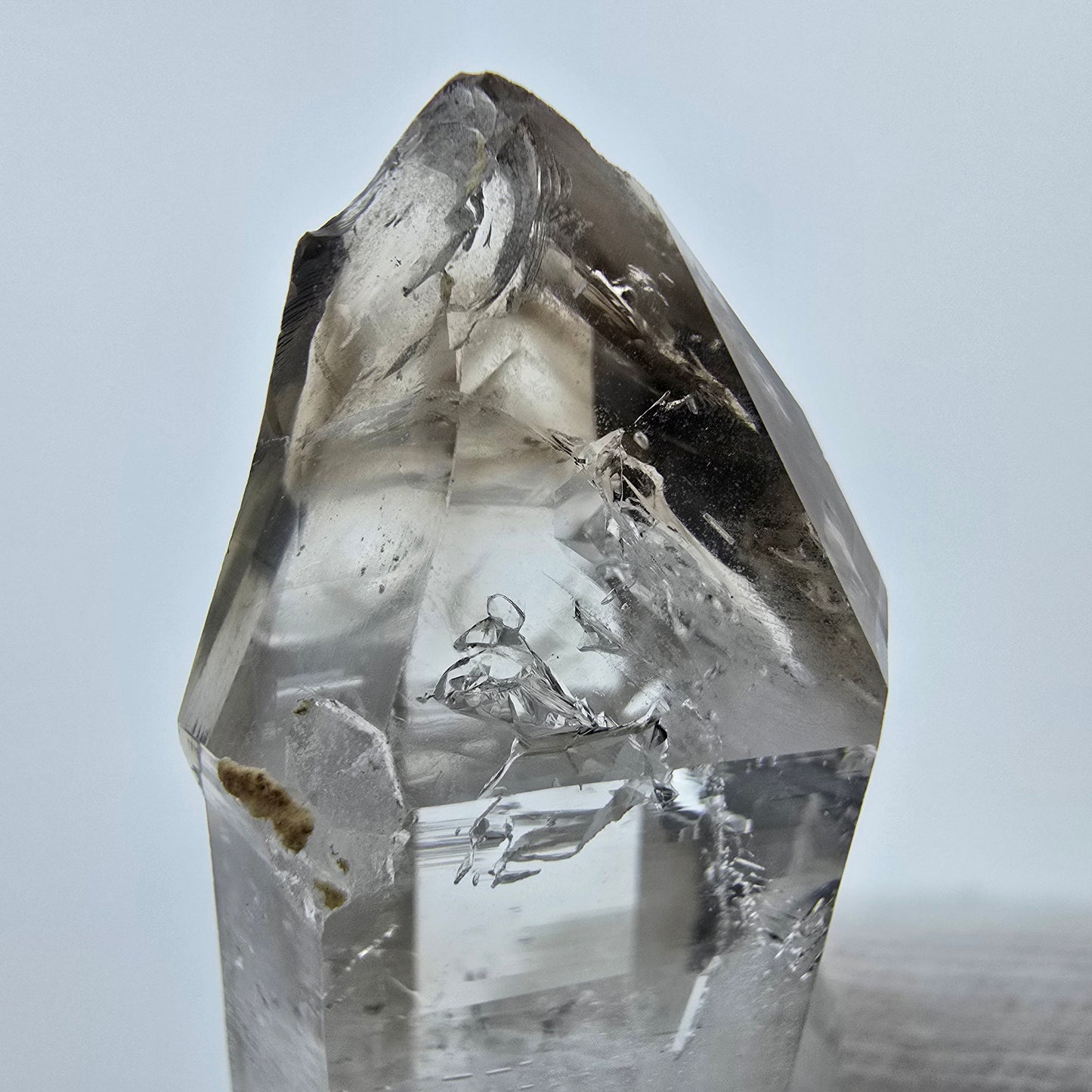 Enhydro Phantom Rauchquarz Zepter, 1x Blase Goboboseb, Namibia 47*17*14mm