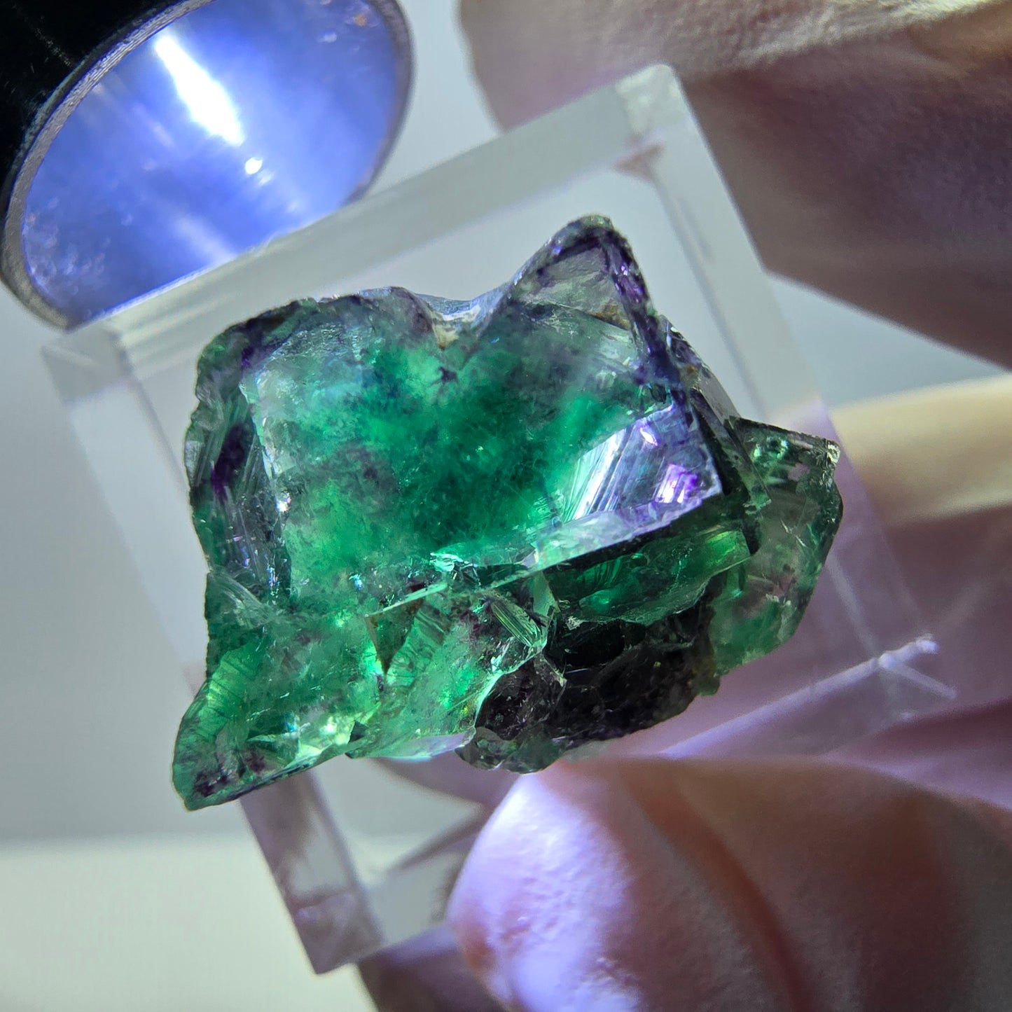 Rare Fluorite Cube Specimen, green purple Okorusu, Namibia 21*16*15mm