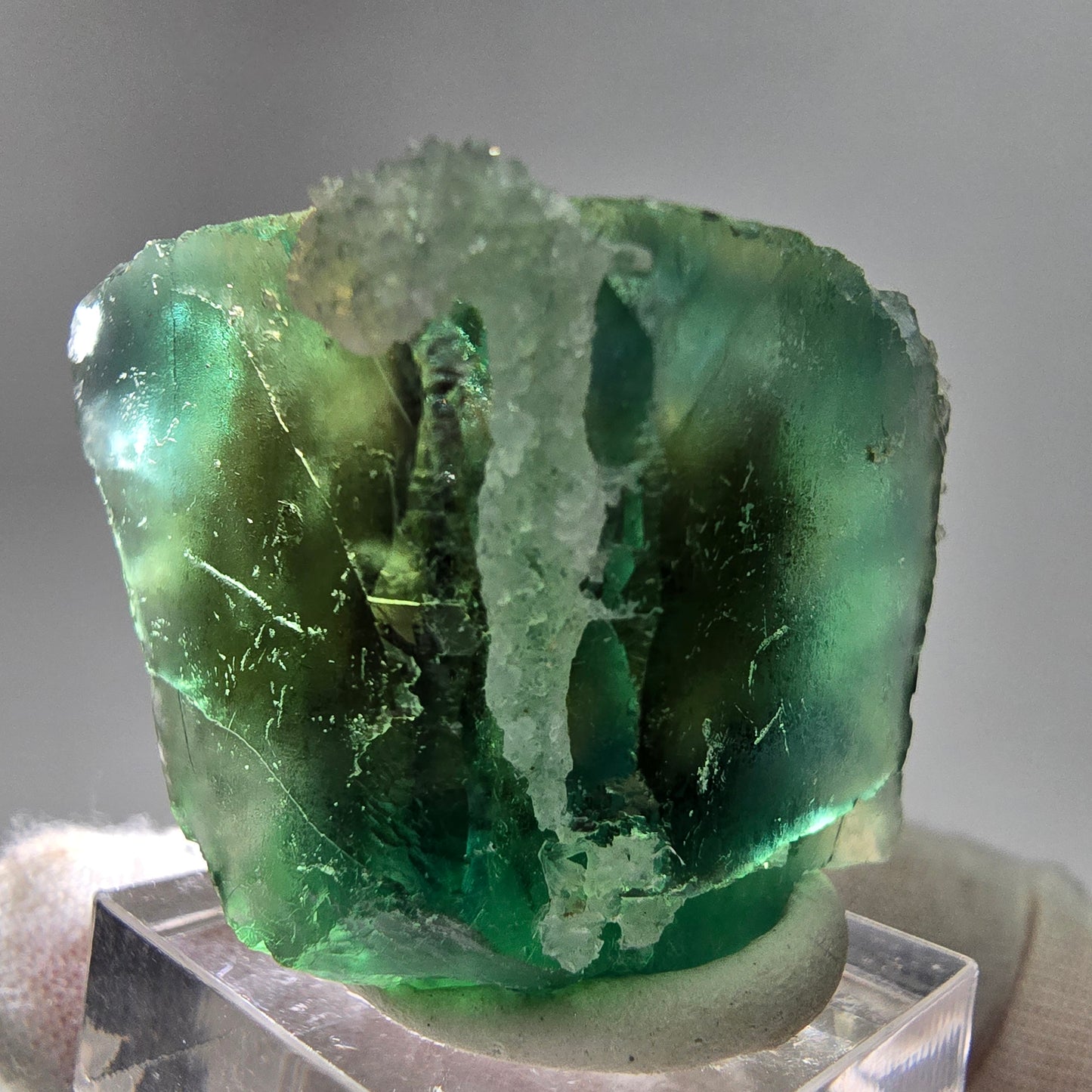 Klare Phantom Fluorit Würfel Stufe grün Okorusu, Namibia 45*38*30mm Sammlung