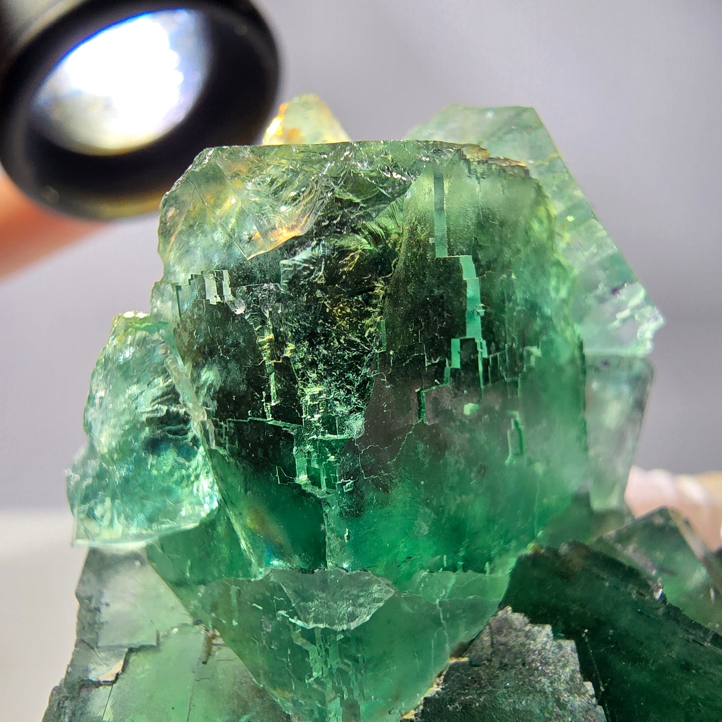 Spécimen de cube de fluorite fantôme transparente, vert parqueté, Okorusu, Namibie, 60 x 51 x 26 mm