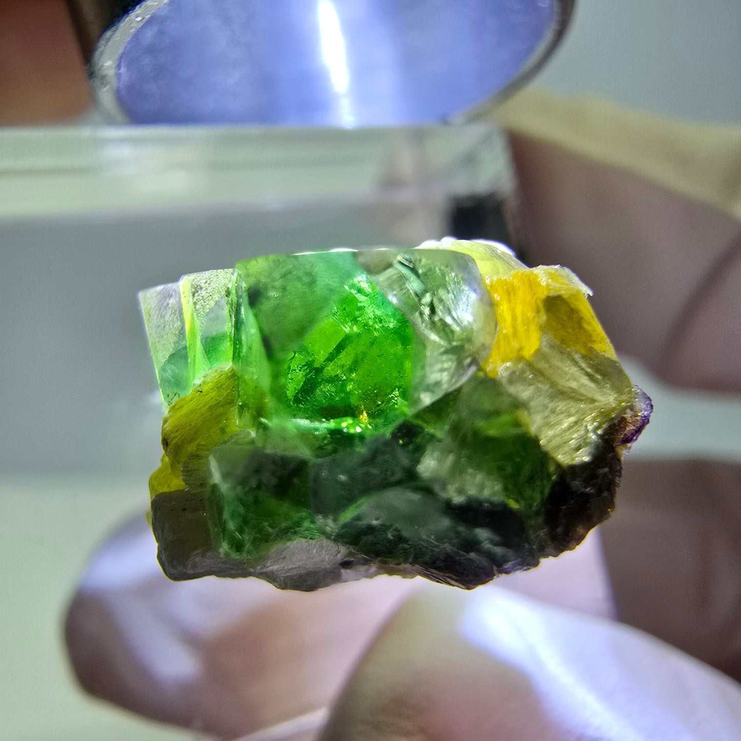 Cube de fluorite fantôme, spécimen de muscovite, Erongo, Namibie, 15 x 13 x 10 mm