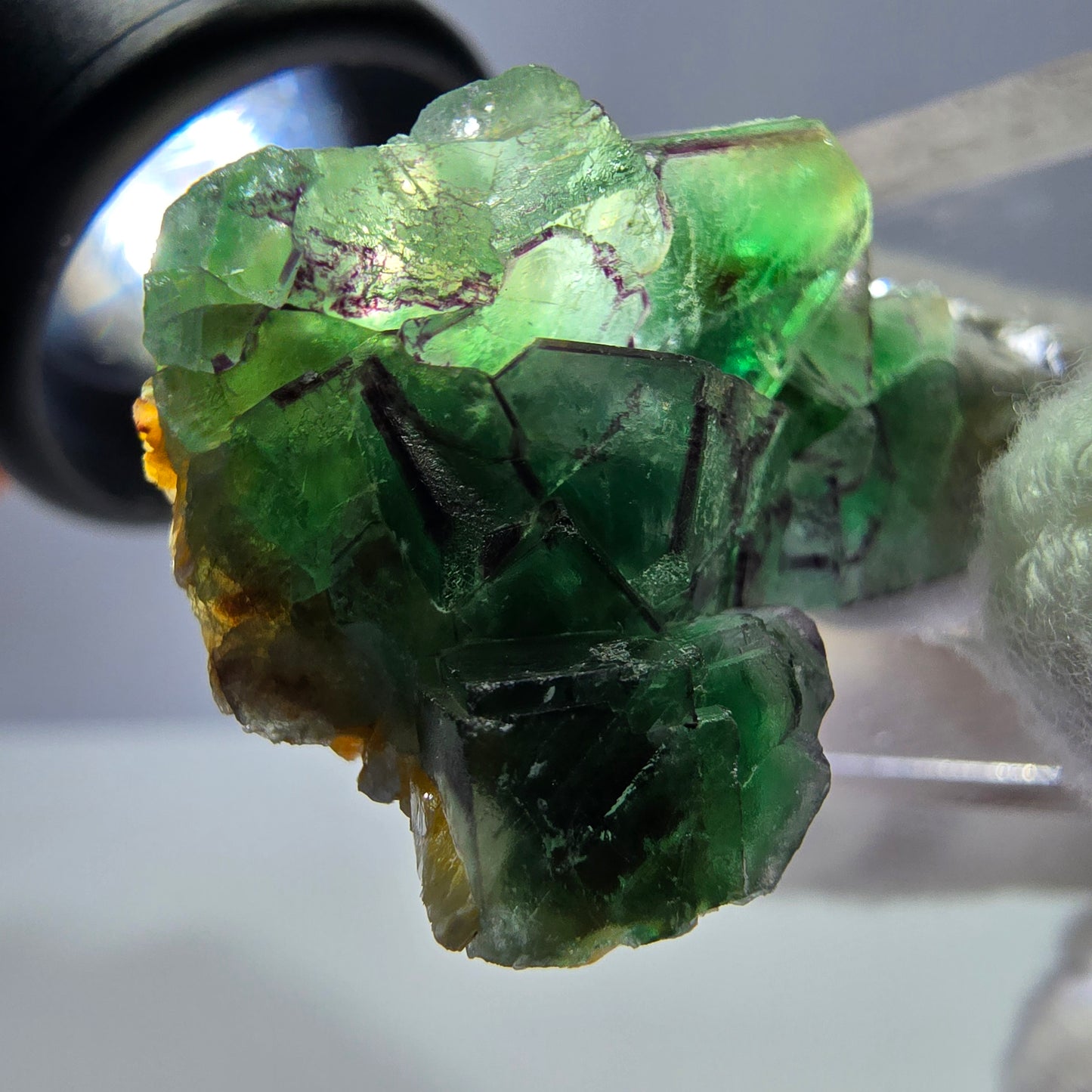 Cube de fluorite fantôme zonal, tourmaline muscovite Schörl Erongo Namibie 31 x 22 x 20 mm