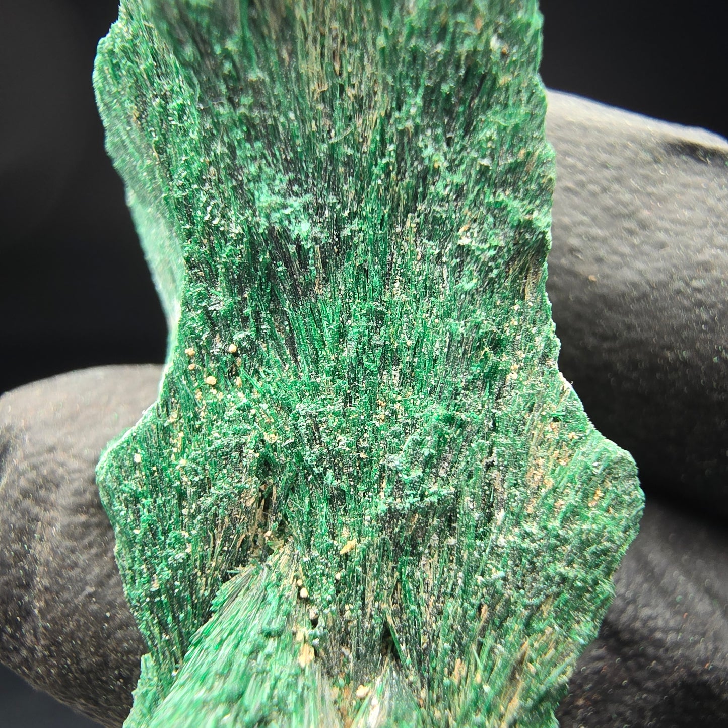 Seltene Malachit Stufe, grün Kaokoveld, Namibia 41*19*18mm Mineraliensammlung