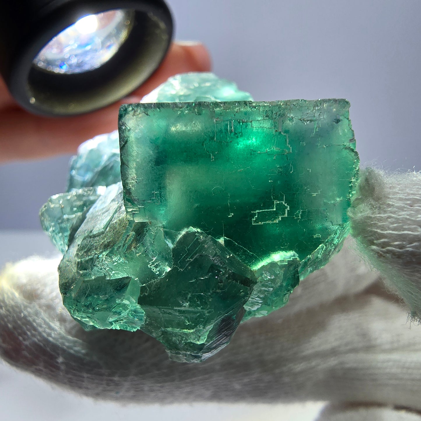 Rare spécimen de cube de fluorite fantôme, parqueté vert Okorusu, Namibie, 50 x 34 x 23 mm