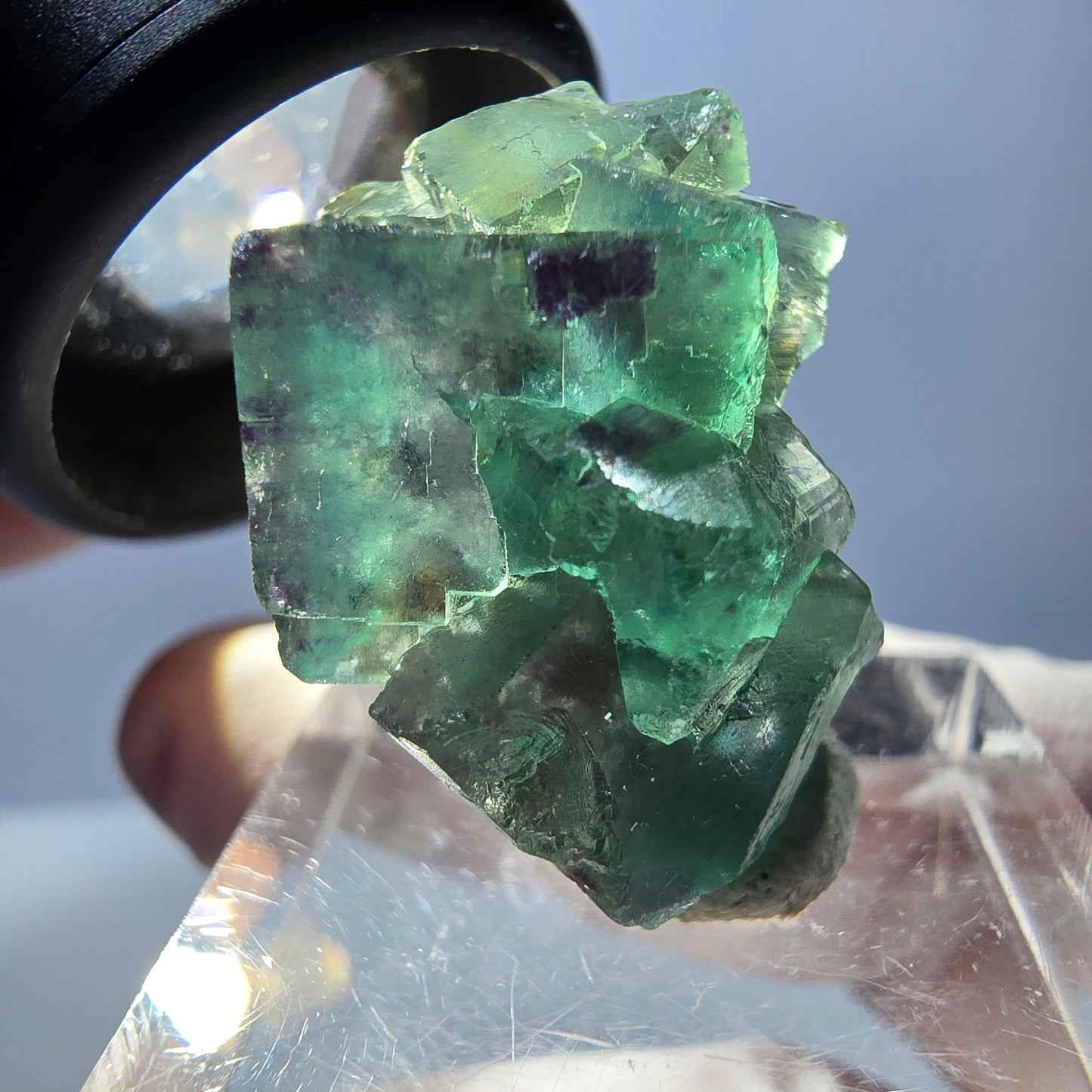 Spécimen de cube de fluorite fantôme, parqueté vert violet Okorusu, Namibie 25*21*14 mm
