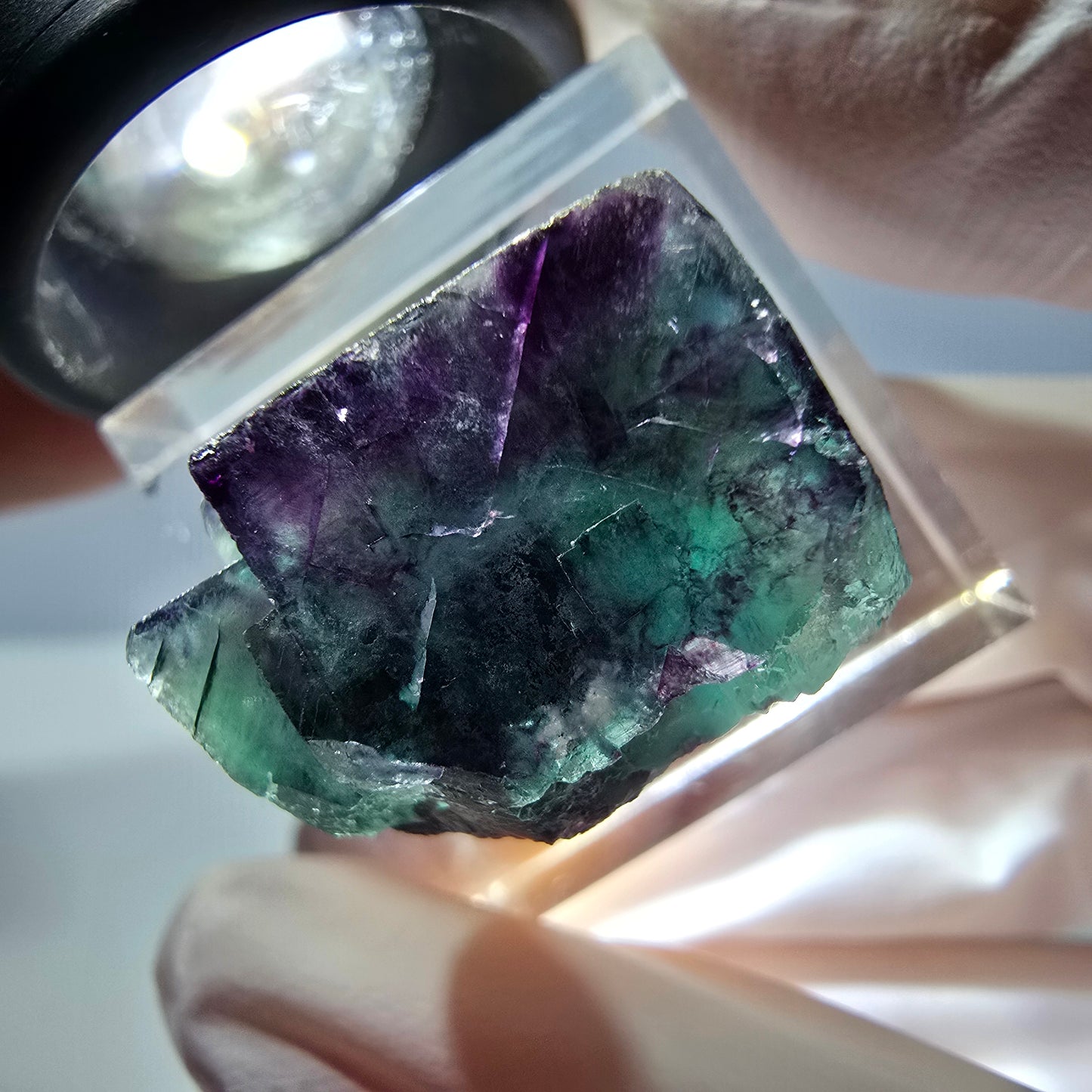 Phantom Fluorit Würfel Stufe, parkettiert grün lila Okorusu, Namibia 21*18*15mm