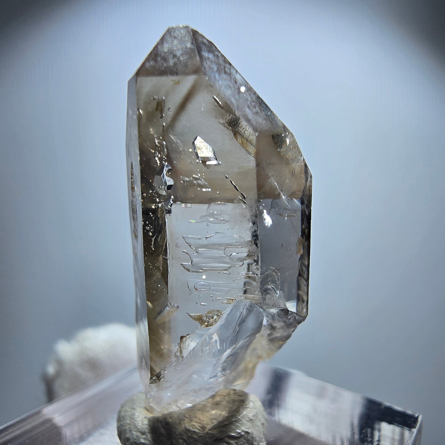 Enhydro Phantom Rauchquarz Zepter, 2x Blase Goboboseb, Namibia 31*13*11mm