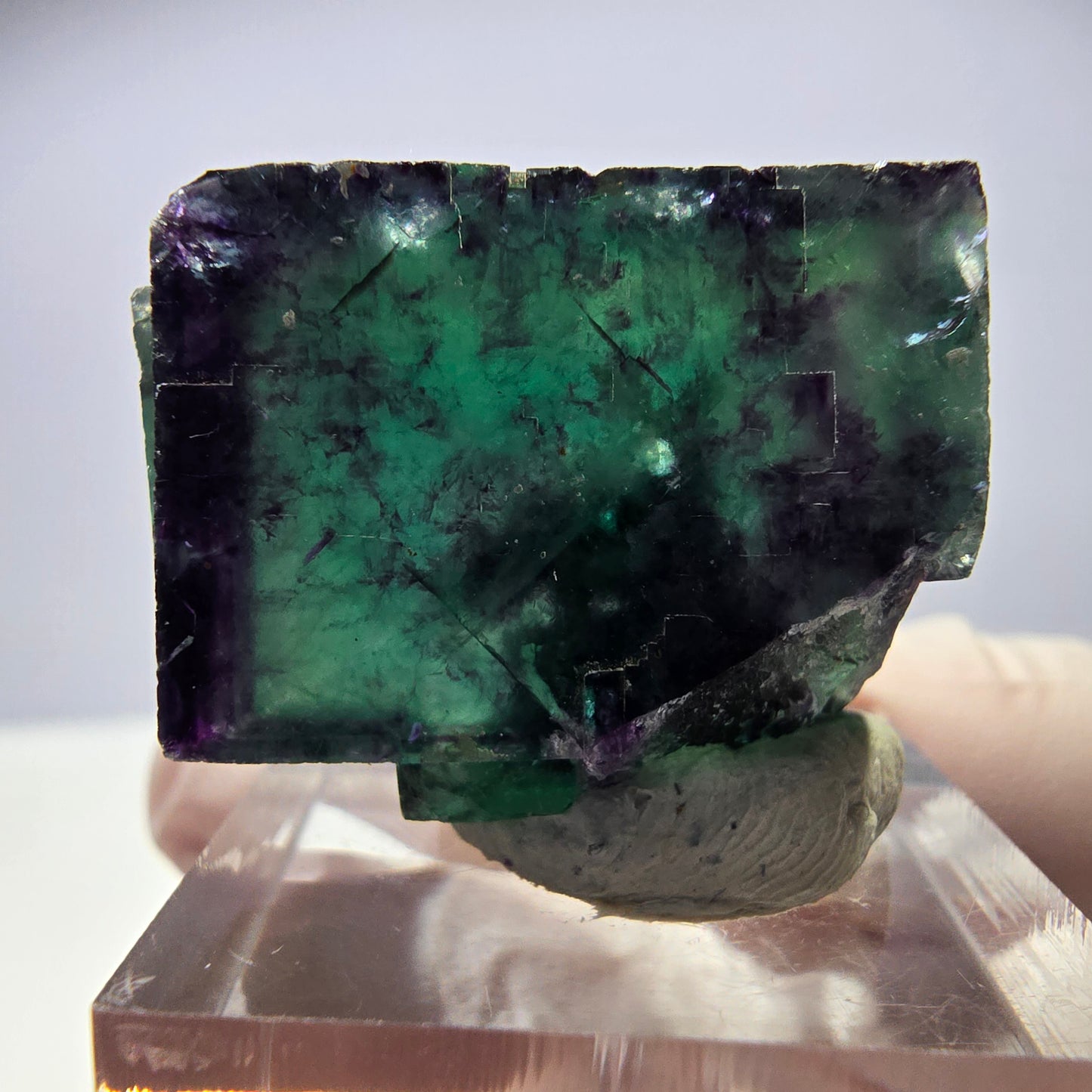 Rare cube de fluorite fantôme parqueté vert violet Okorusu Namibie 30*25*13mm