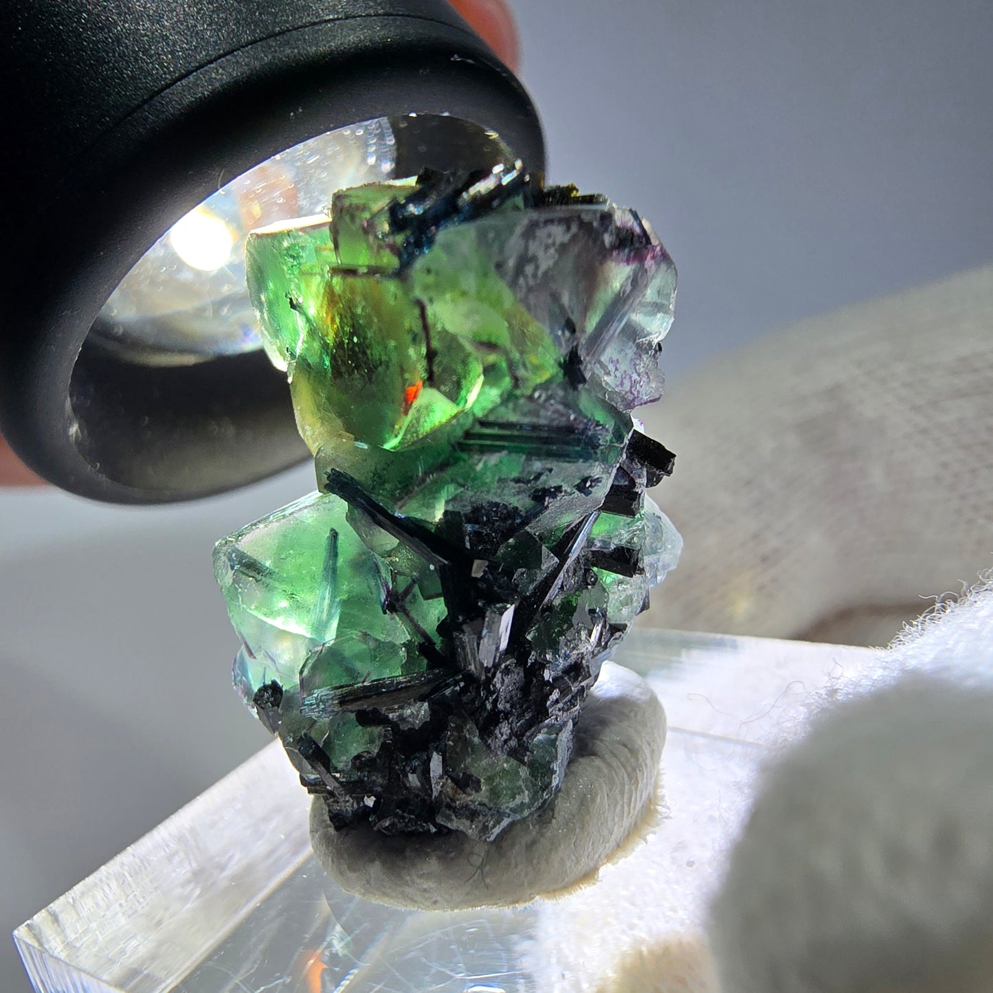 Cube de fluorite fantôme zonal, tourmaline muscovite Schorl Erongo Namibie 24 x 16 x 12 mm