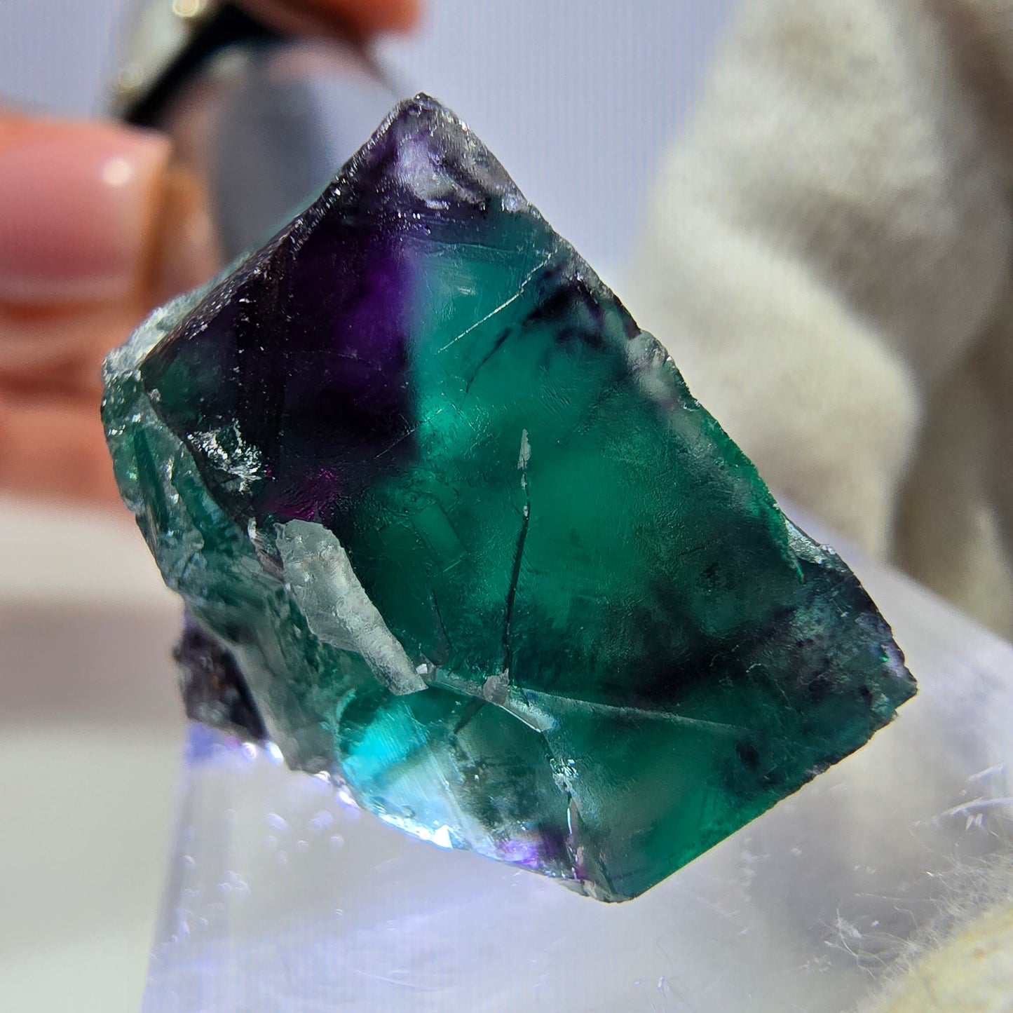 Rare cube de fluorite fantôme, vert violet zonal Okorusu, Namibie 26*24*18 mm