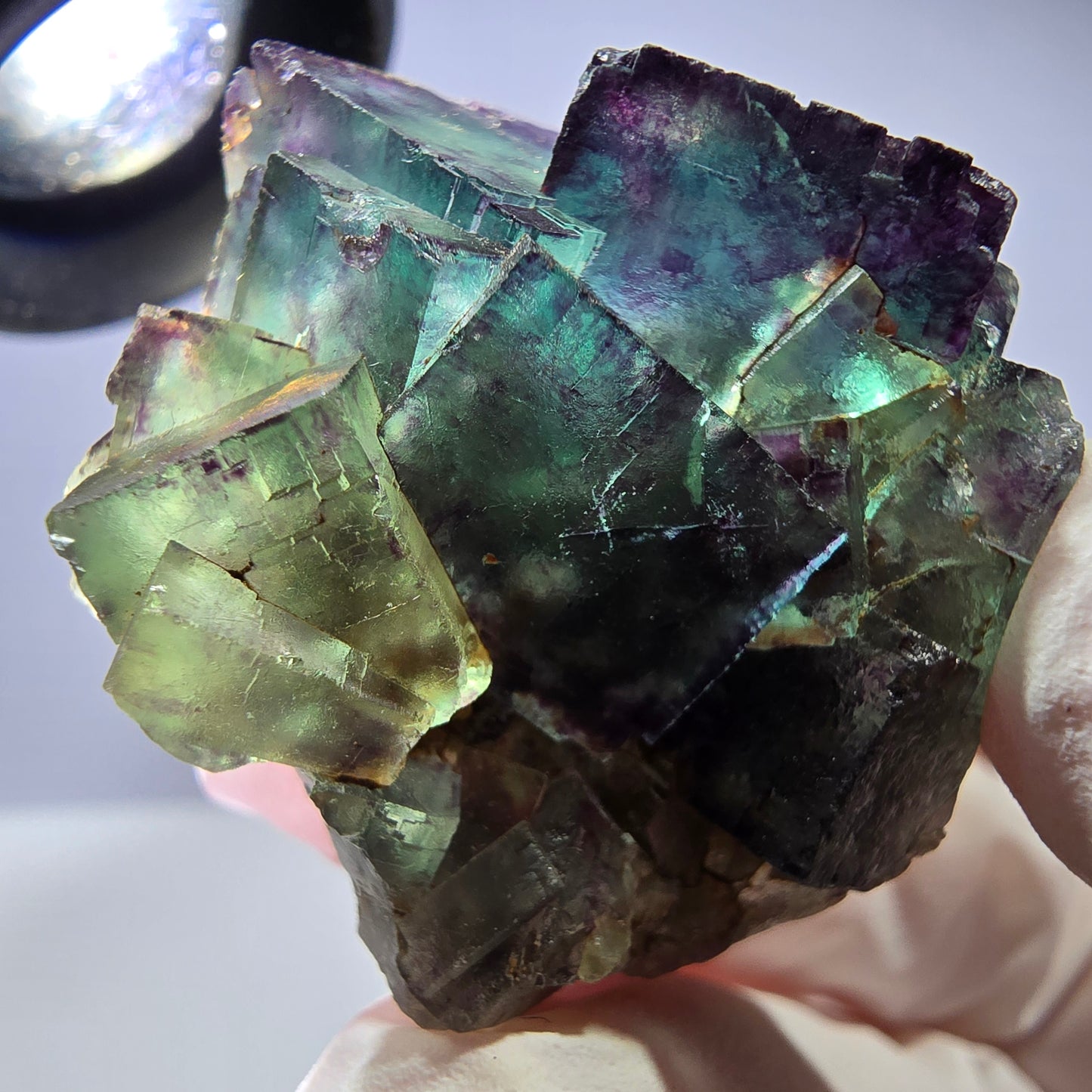 Spécimen de cube de fluorite fantôme parqueté vert violet Okorusu, Namibie 40*36*26 mm