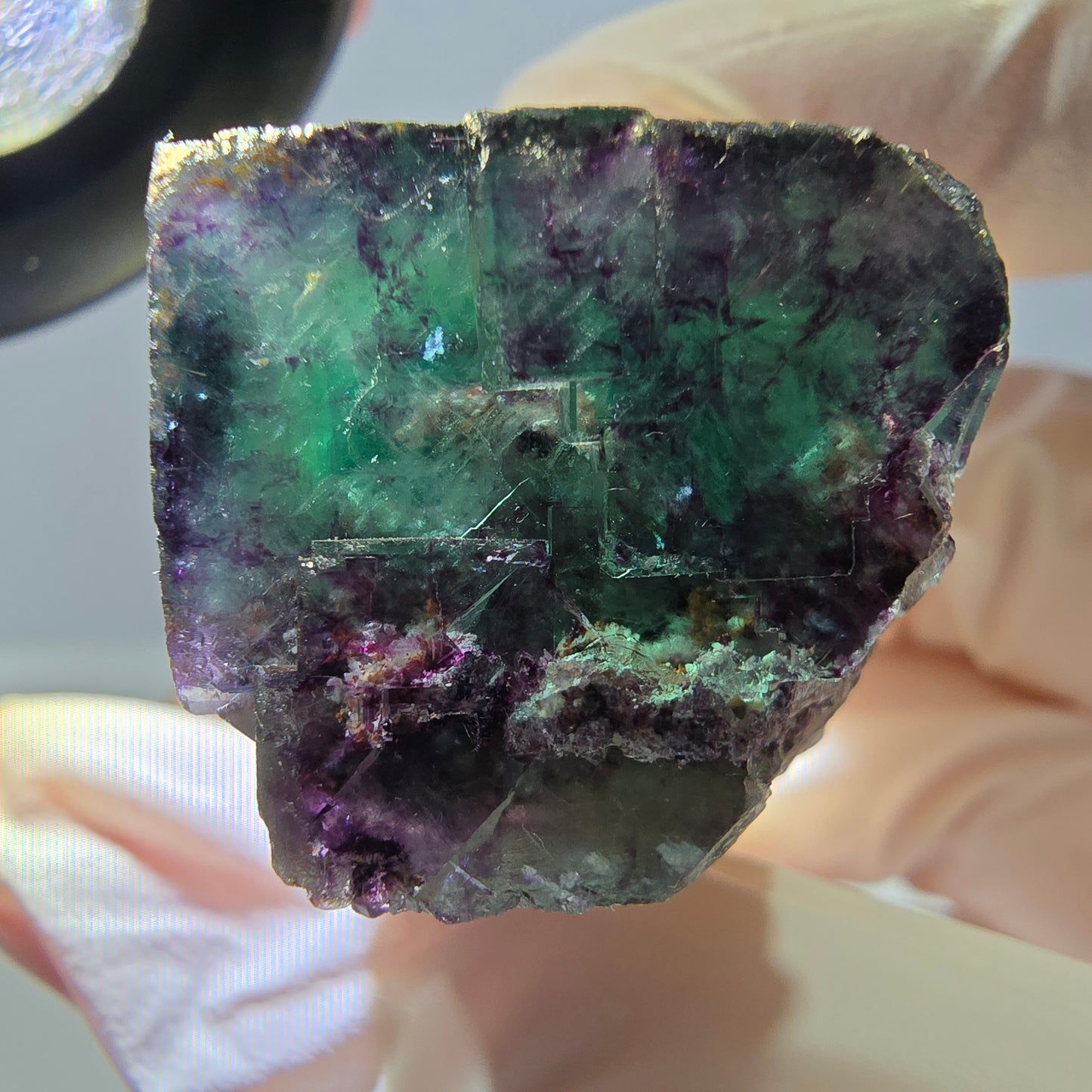 Phantom Fluorit Würfel Stufe, parkettiert grün lila Okorusu, Namibia 24*23*19mm