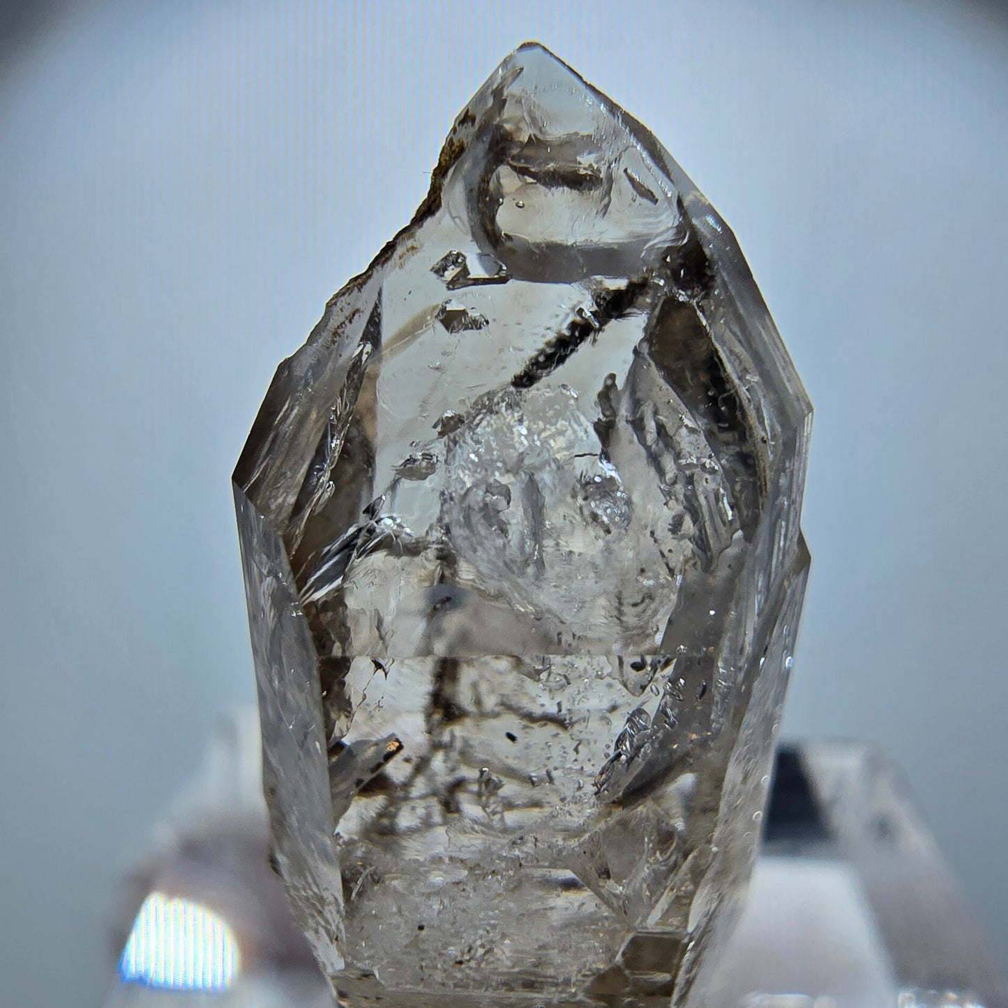 Enhydro Rauchquarz Skelett DT Zepter, 2x Blase Goboboseb, Namibia 26*13*11mm