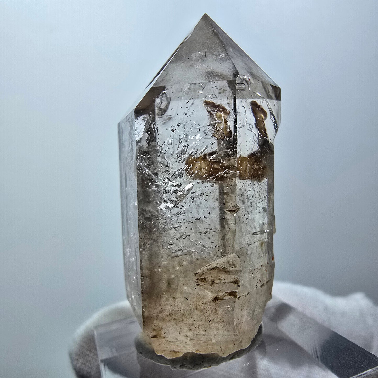 Enhydro Phantom Rauchquarz Zepter, 1x Blase Goboboseb, Namibia 44*21*19mm