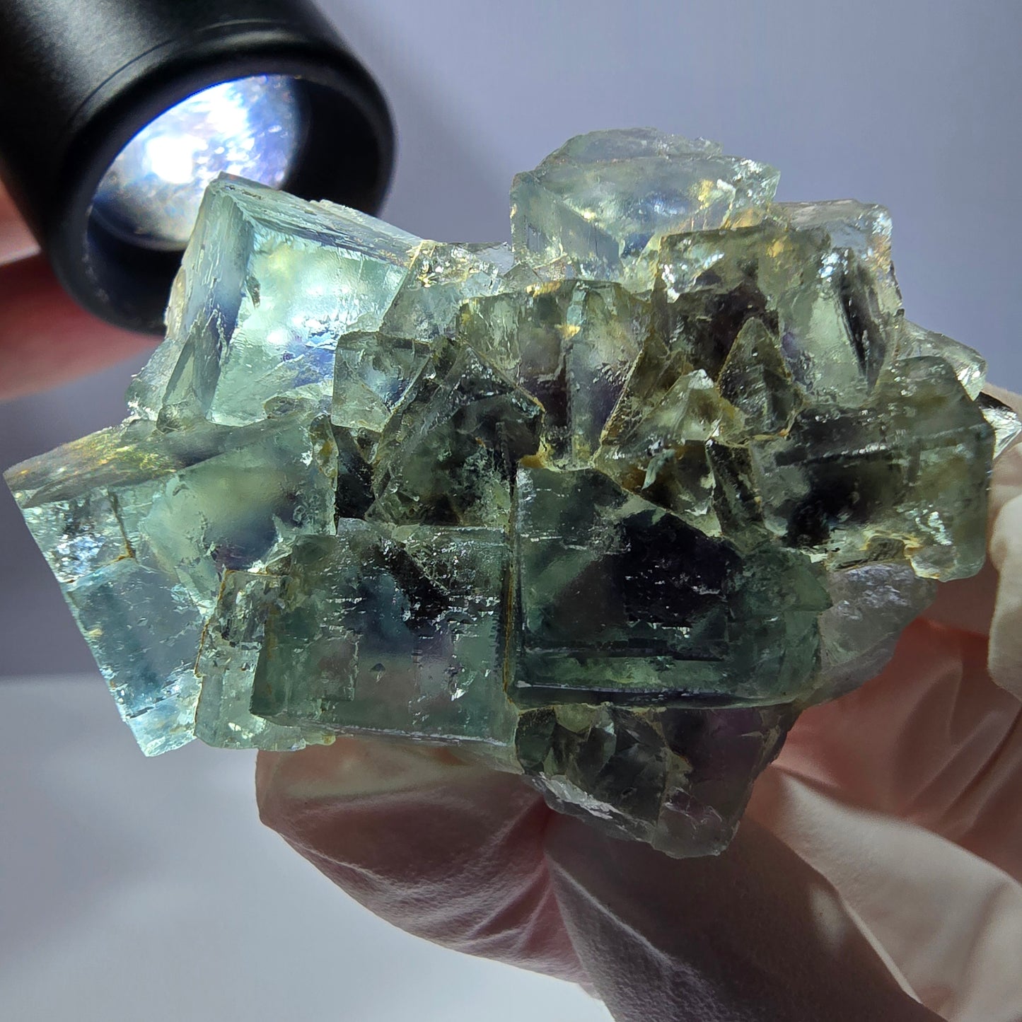 Spécimen de cube de fluorite fantôme, parqueté vert violet Okorusu, Namibie 49*34*13 mm