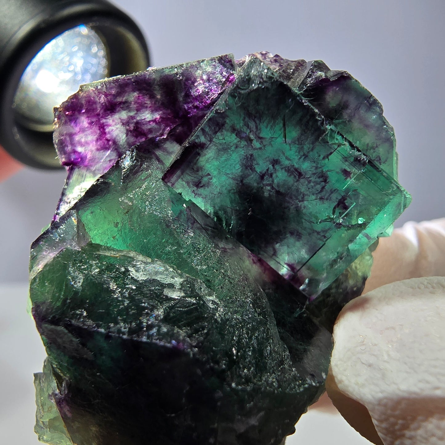 Spécimen de cube de fluorite fantôme, parqueté vert violet Okorusu, Namibie 47*35*24 mm