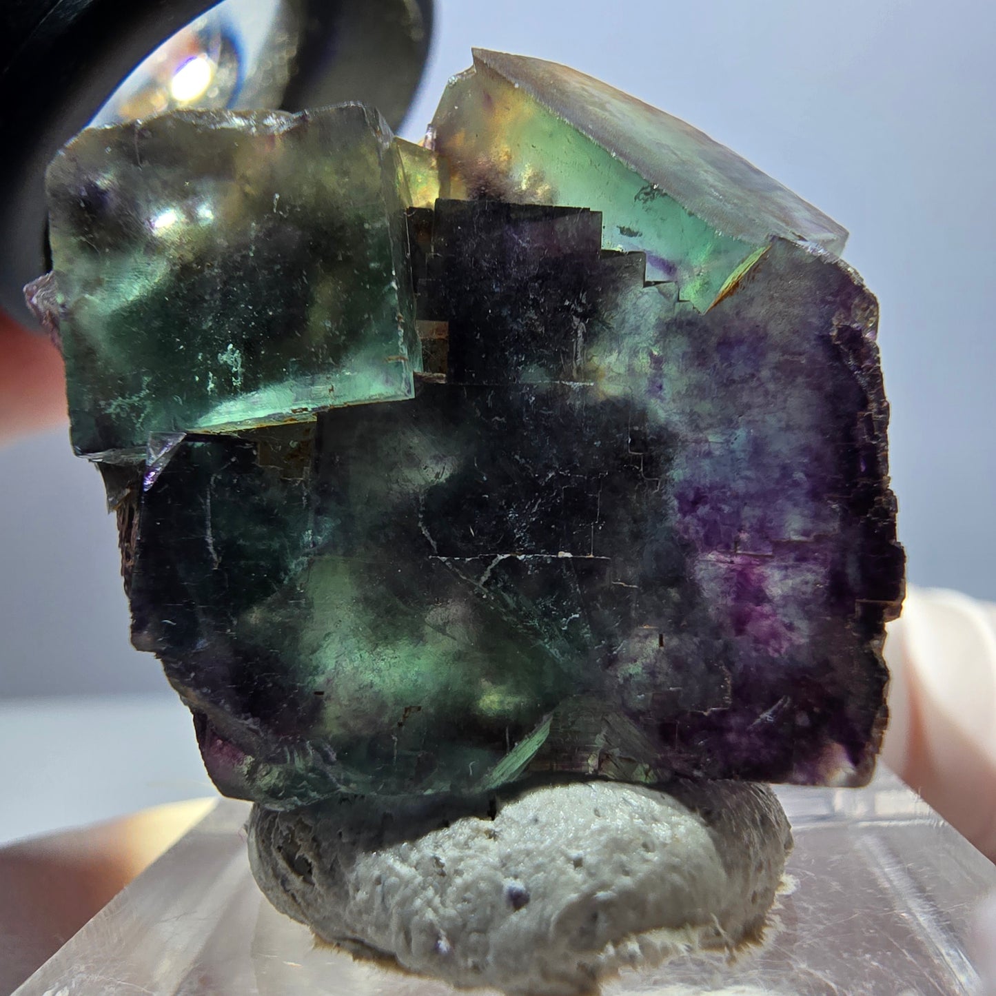 Spécimen de cube de fluorite fantôme, parqueté vert violet Okorusu, Namibie 30*28*15 mm