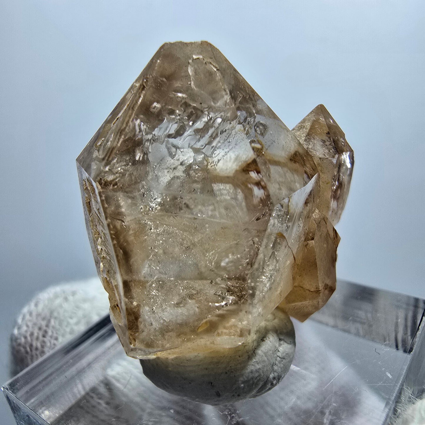 Enhydro Phantom Smoky Quartz Scepter, 1x Bubble Goboboseb, Namibia 25*24*17mm