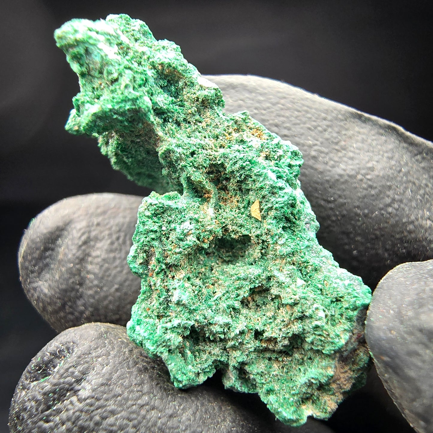 Spécimen rare de malachite, vert Kaokoveld, collection minérale 30*14*17mm namibie