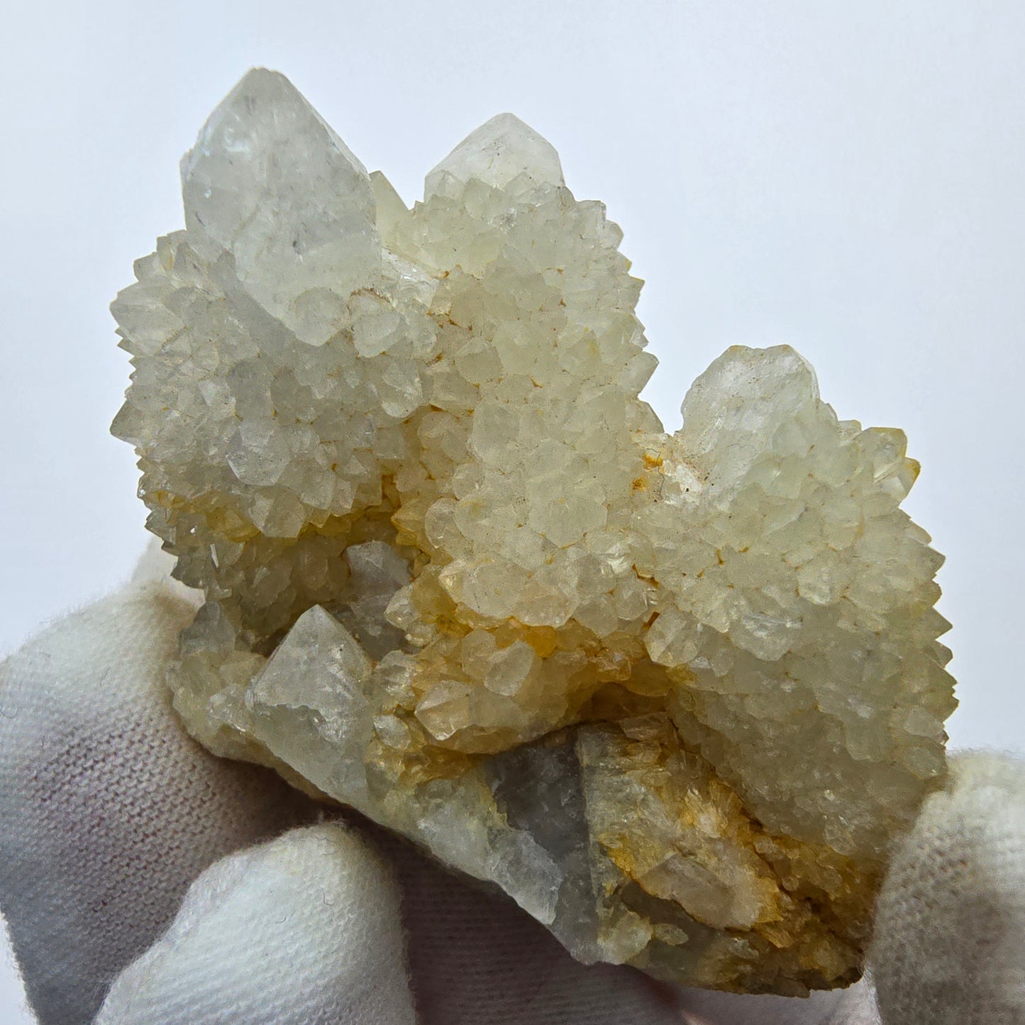Kaktusquarz, Spirit Quarz XX Stufe Boekenhouthoek, Südafrika 55*37*29mm Sammlung