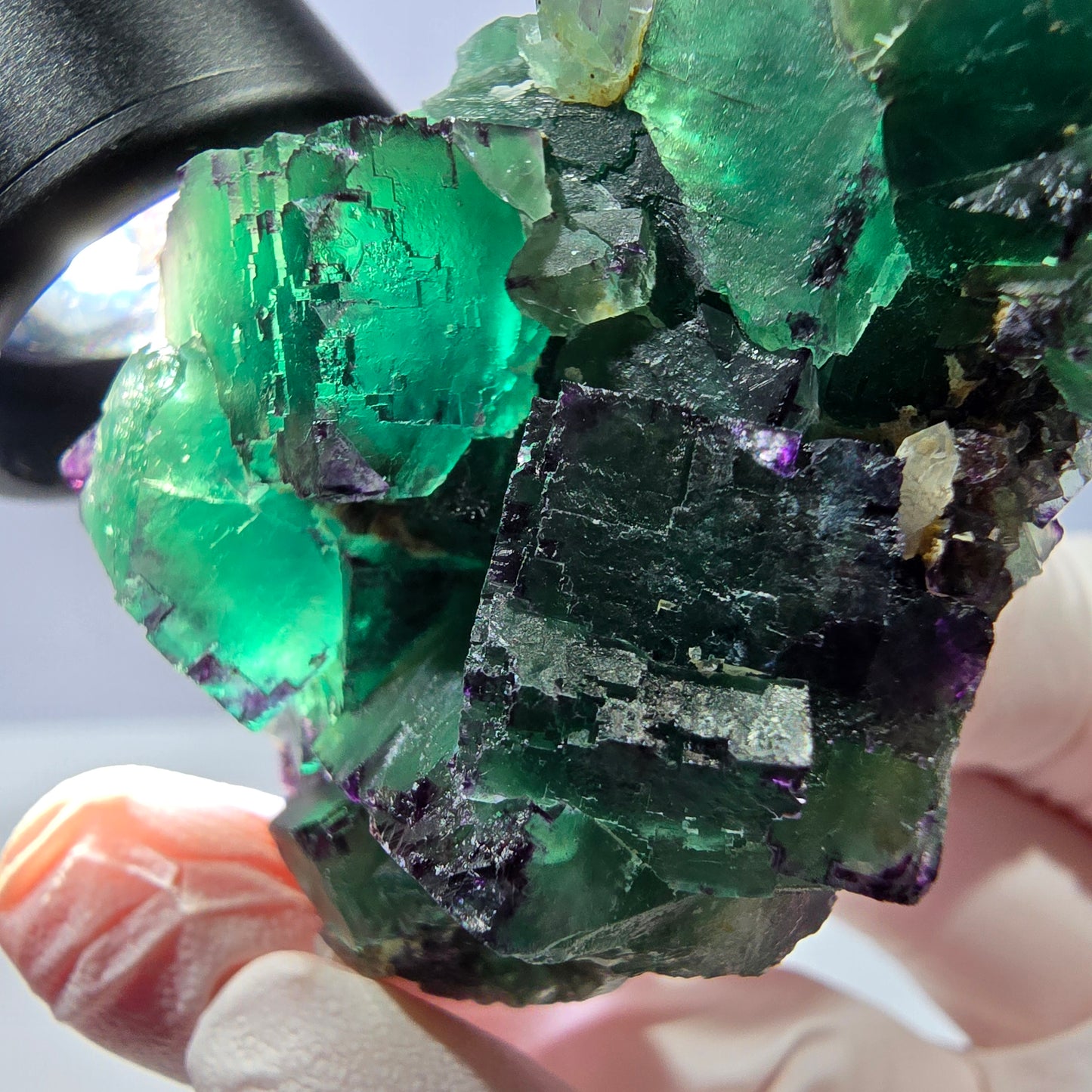 Spécimen de cube de fluorite fantôme, parqueté, zonal Okorusu, Namibie 54 x 39 x 28 mm