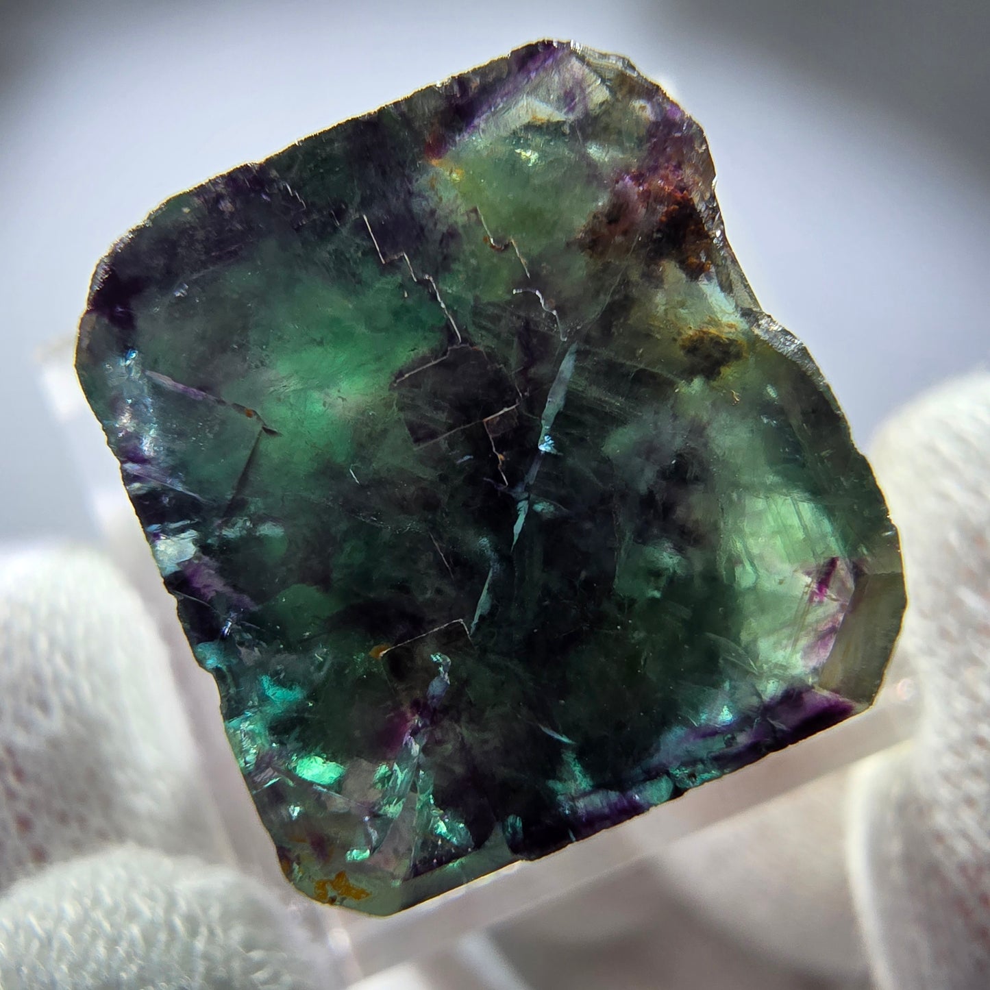 Rare cube de fluorite fantôme, vert violet zonal Okorusu, Namibie 21*21*14 mm