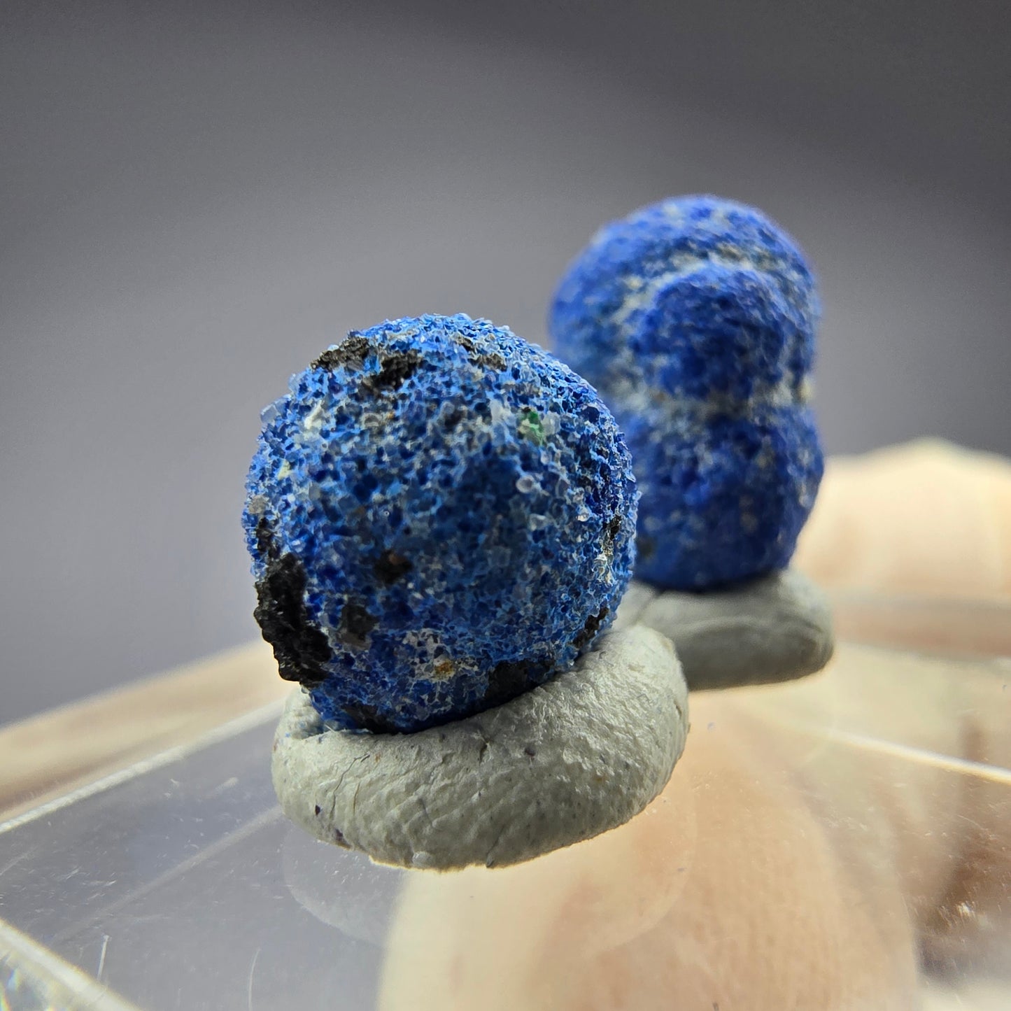 2x seltene Azurit Blueberry - Set 12,1mm + 9,2mm Durchmesser aus USA, New Mexico