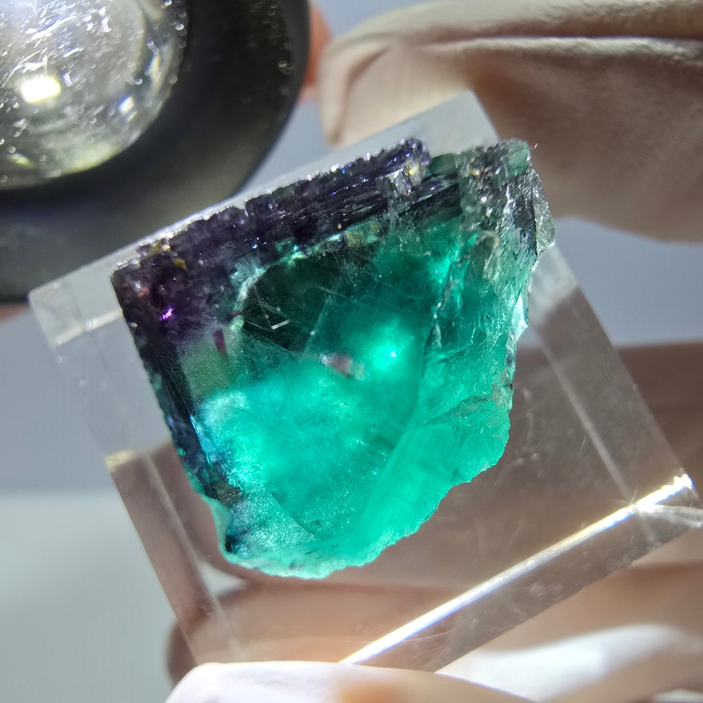 Phantom Fluorit Würfel Stufe, parkettiert grün lila Okorusu, Namibia 18*15*13mm
