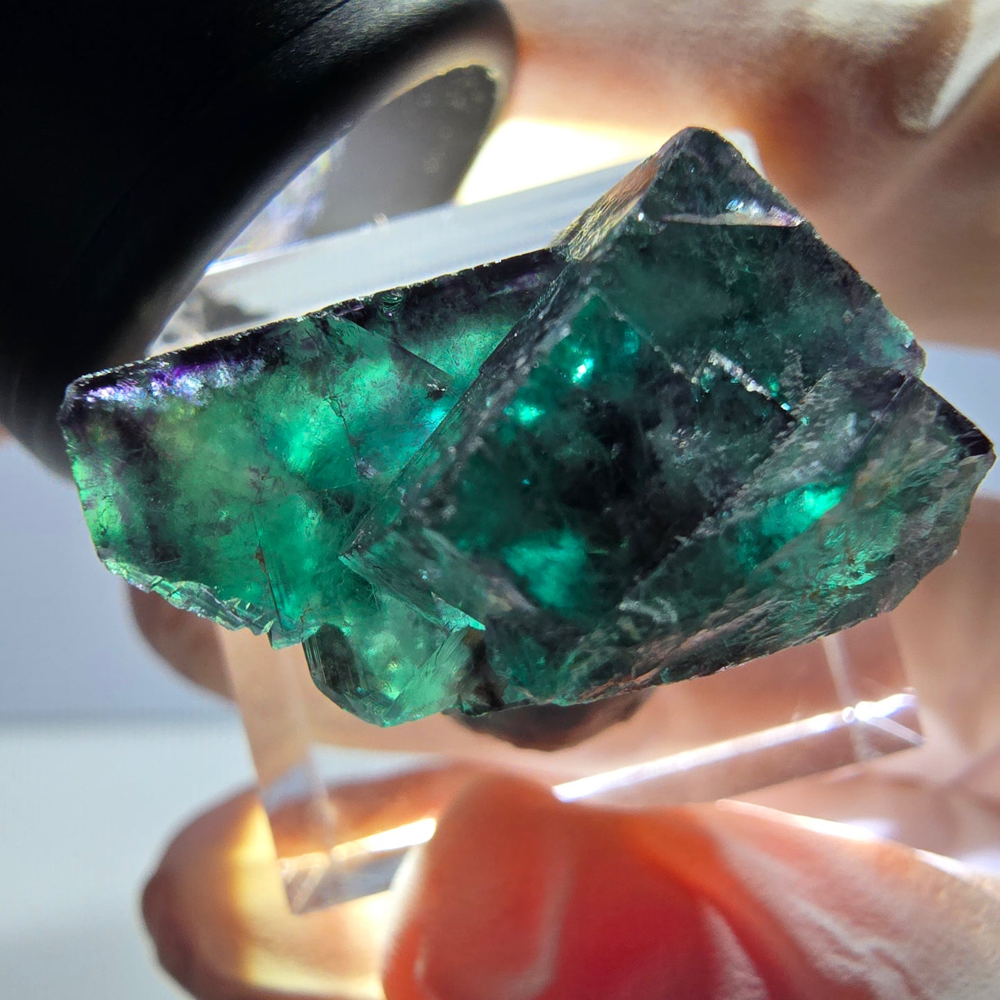 Spécimen de cube de fluorite fantôme, parqueté vert violet Okorusu, Namibie 27 x 24 x 15 mm