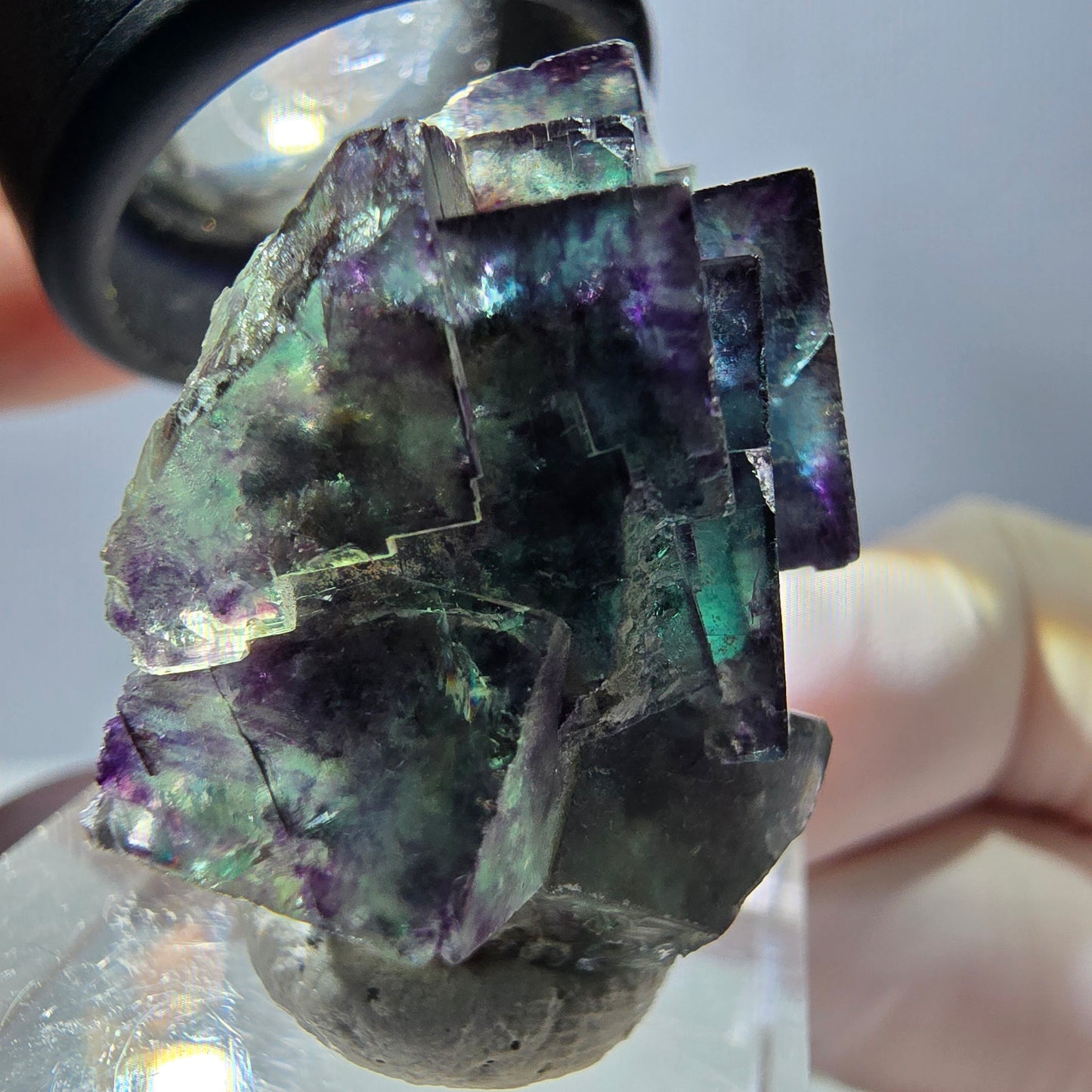 Phantom Fluorit Würfel Stufe, parkettiert grün lila Okorusu, Namibia 29*28*16mm