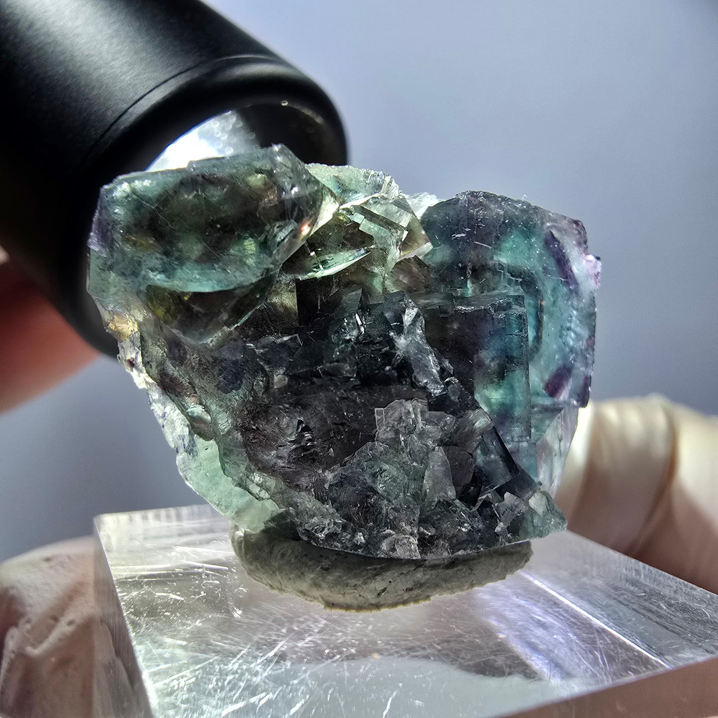 Spécimen de cube de fluorite fantôme, parqueté vert violet Okorusu, Namibie 29*21*12 mm