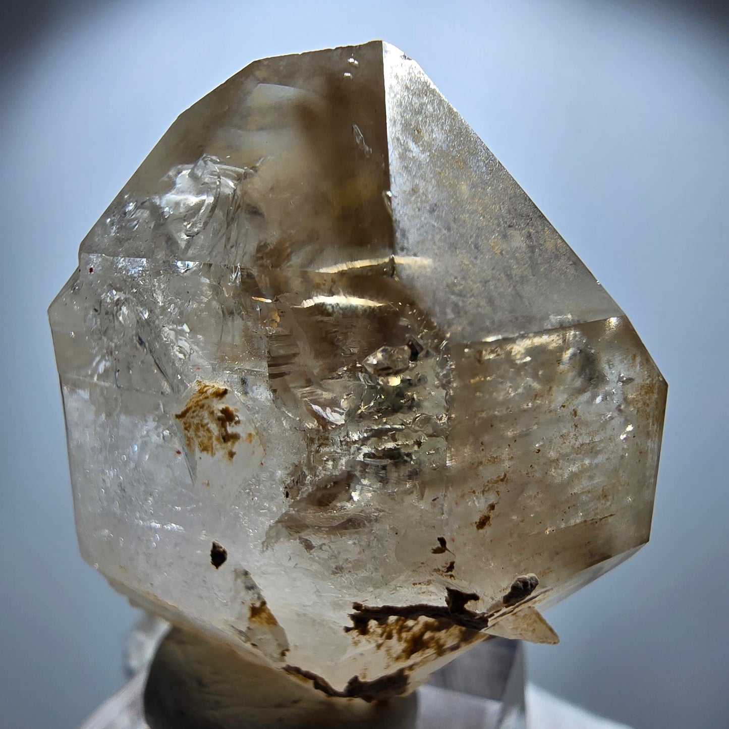 Enhydro Phantom Rauchquarz Skelett Zepter, 1x Blase Goboboseb Namibia 45*37*20mm