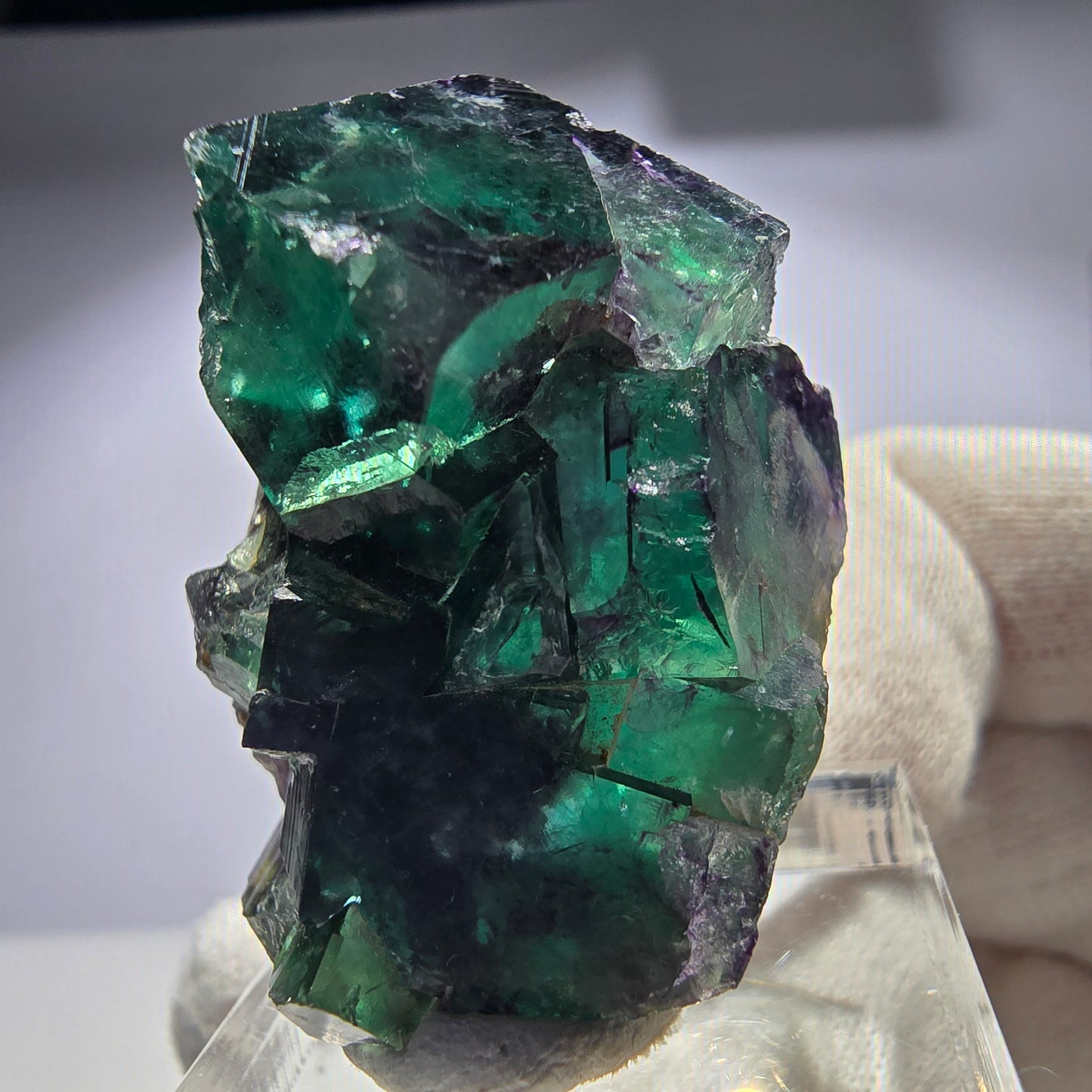 Seltene Phantom Fluorit Würfel Stufe zonal grün lila Okorusu, Namibia 38*28*24mm