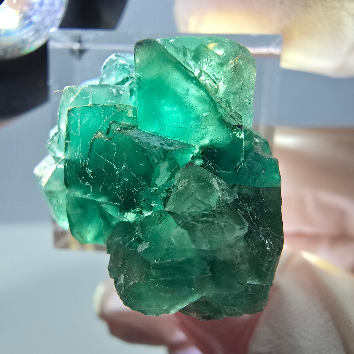 Phantom Fluorit Würfel Stufe, grün parkettiert Okorusu, Namibia 28*24*18mm