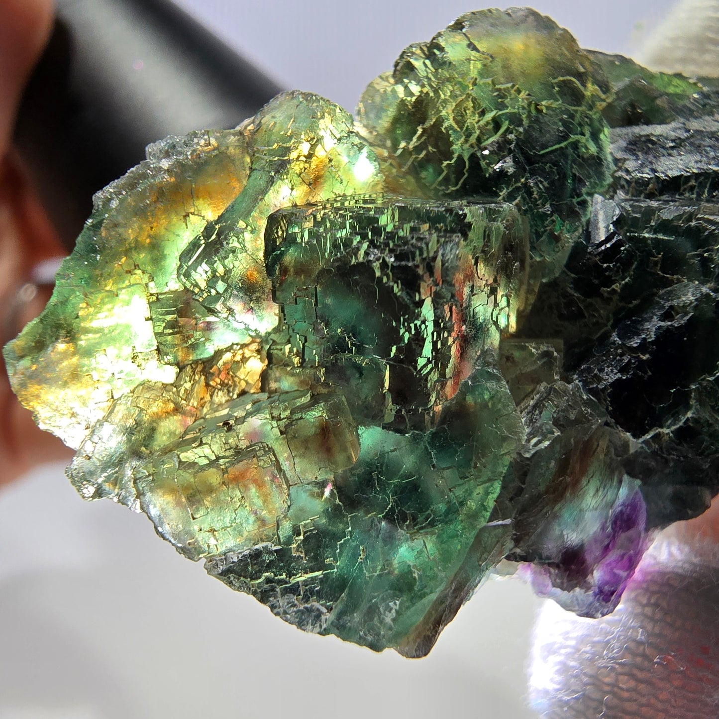 Rare spécimen de cube de fluorite fantôme, parqueté vert Okorusu, Namibie, 52 x 29 x 18 mm