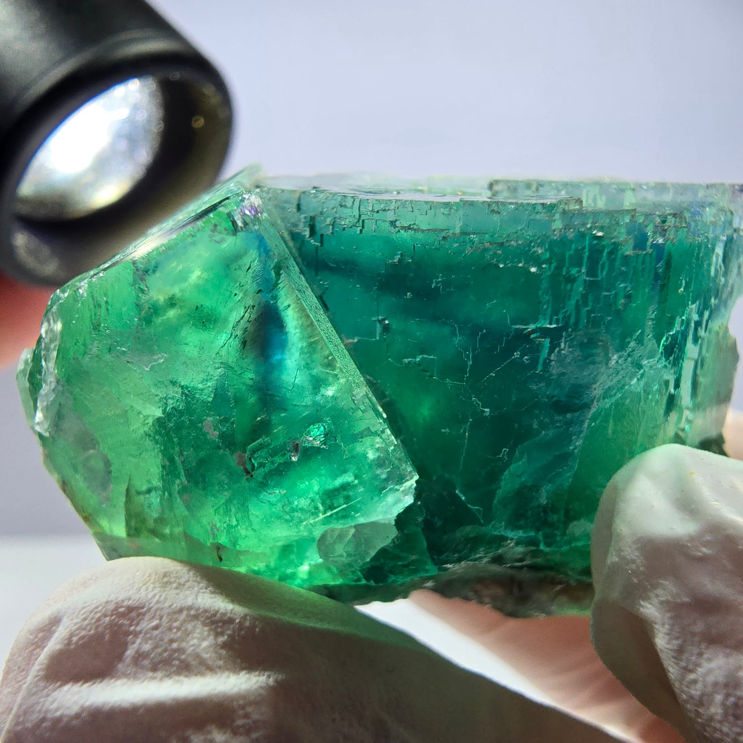 Spécimen de cube de fluorite fantôme transparente, vert parqueté, Okorusu, Namibie, 44 x 32 x 22 mm